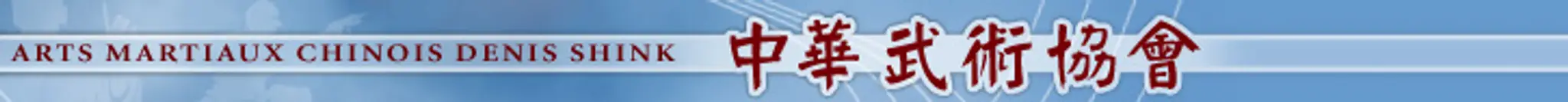 Institute Martial Arts Denis Shink