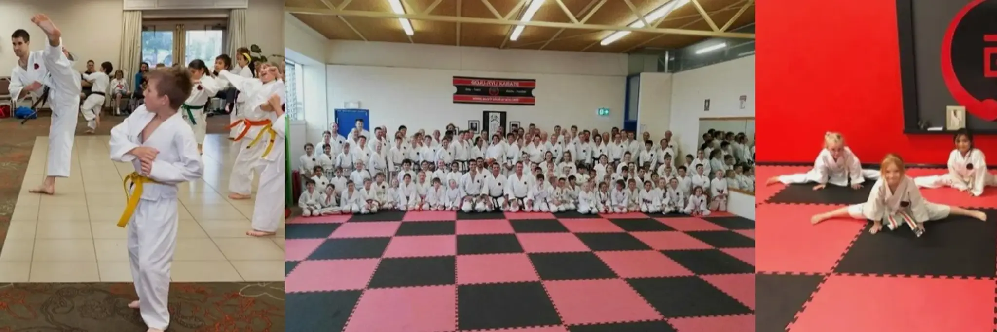 Australian Okinawan Goju-Ryu Karate-Do Federation 