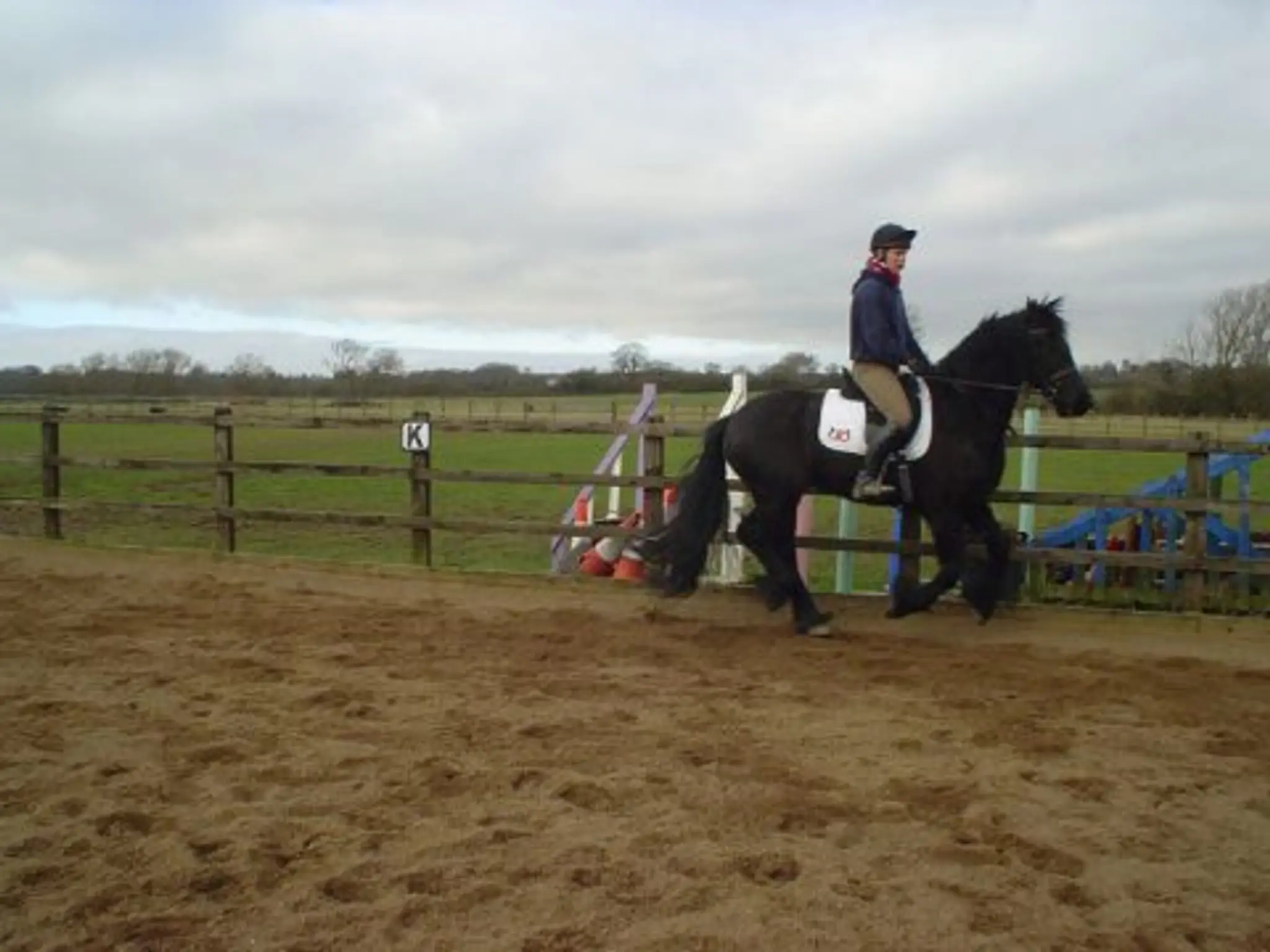 Hobby Horse Equestrian