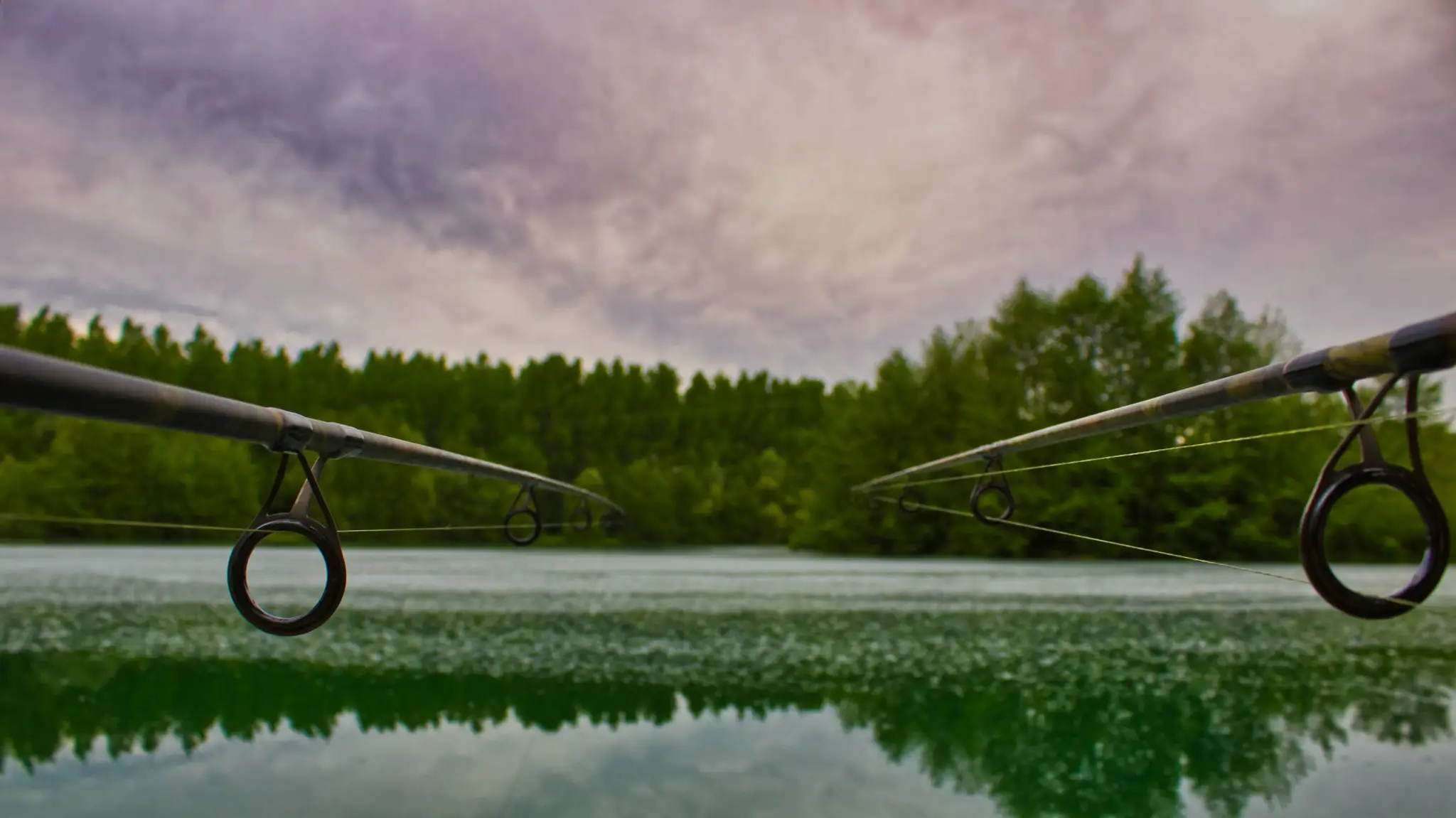 Lac la folie