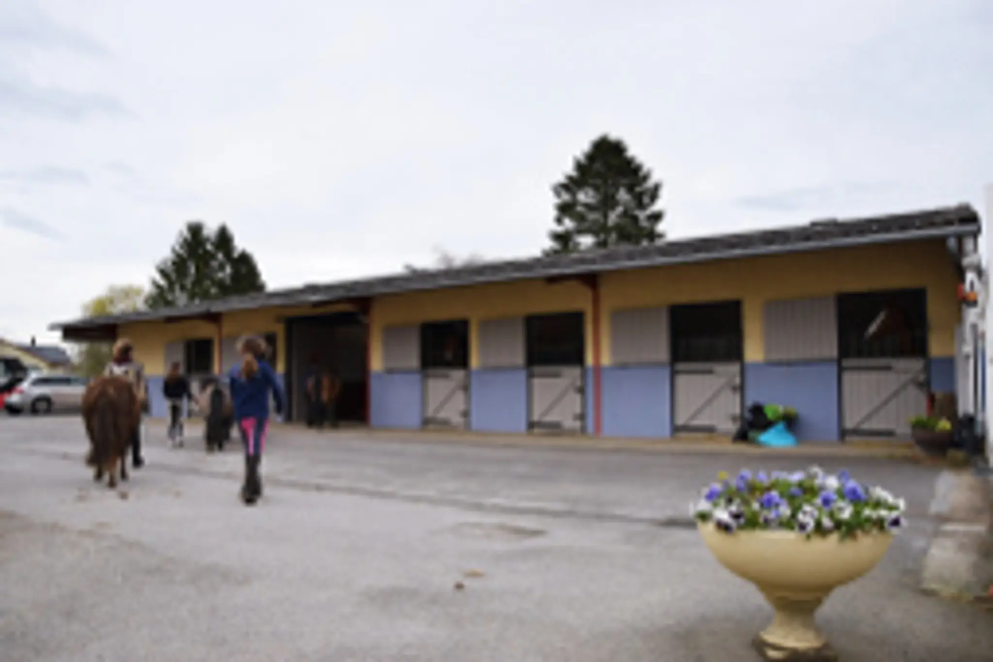 PONEY CLUB DE LA BOHEME