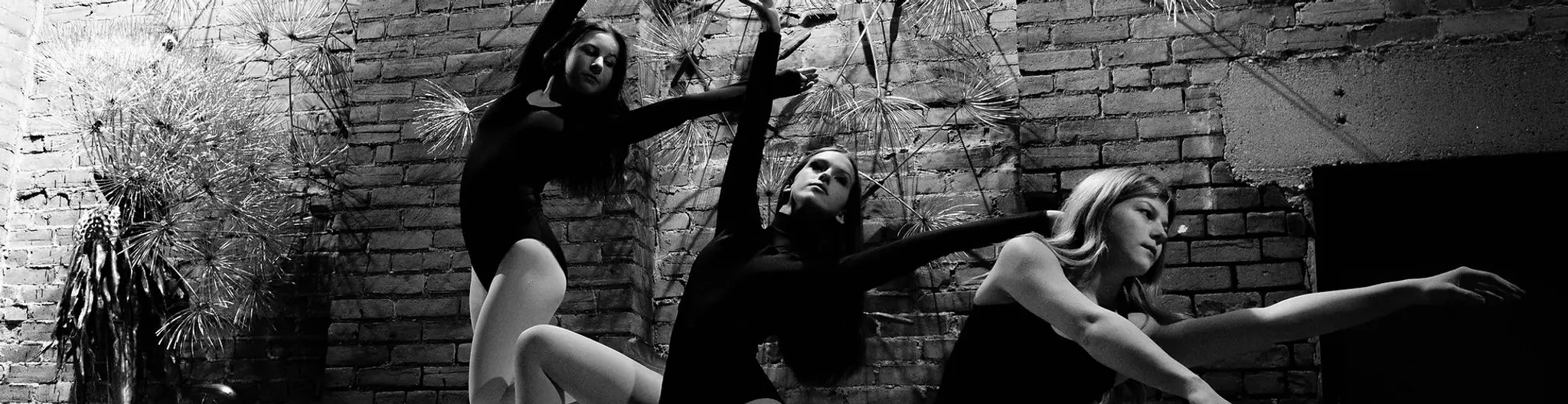 THE STUDIO Dance & Wellness