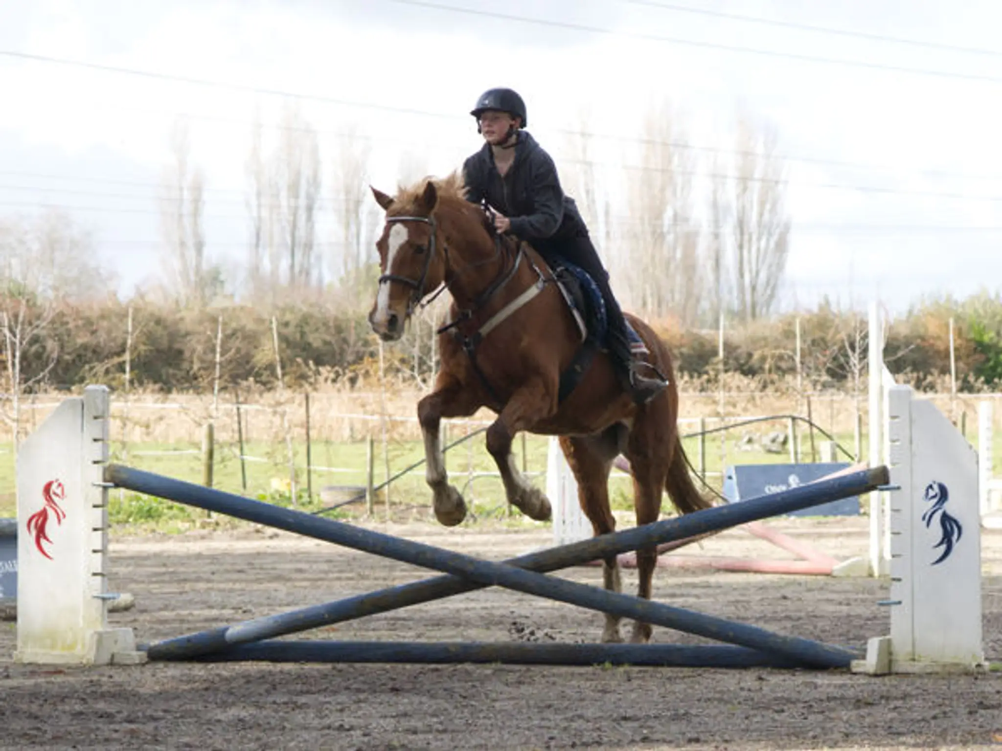 Pony Tales Riding School