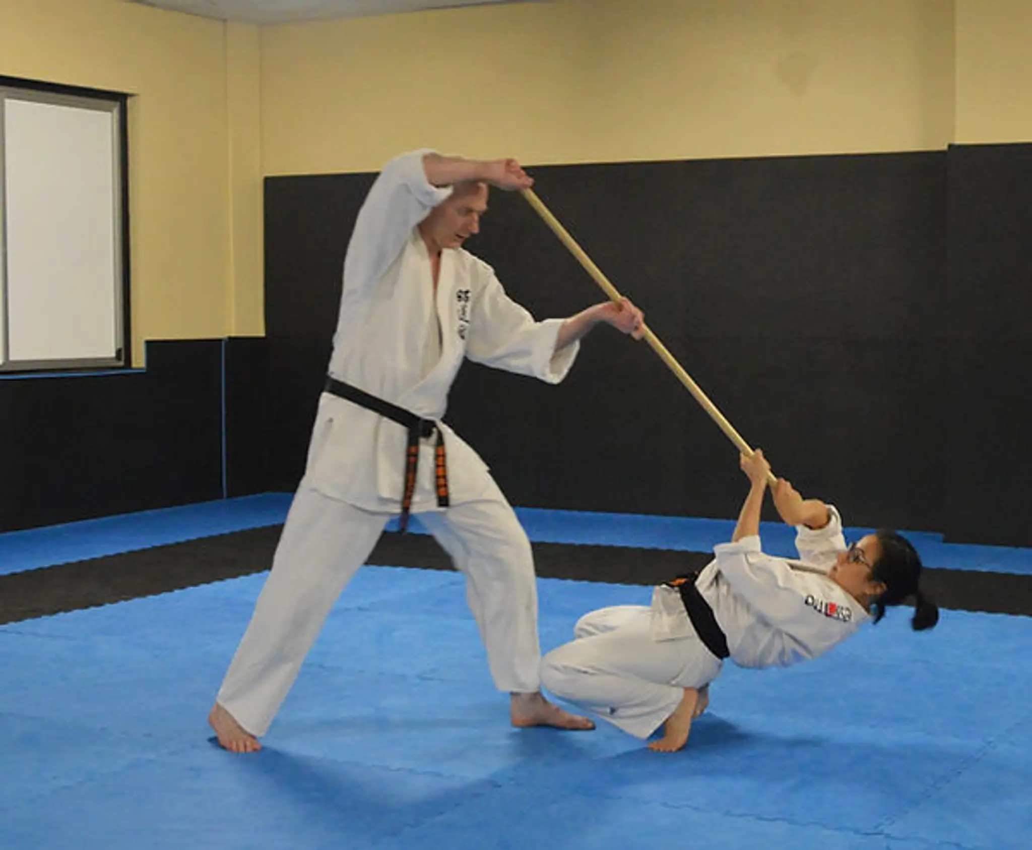 Aikido Shodokan
