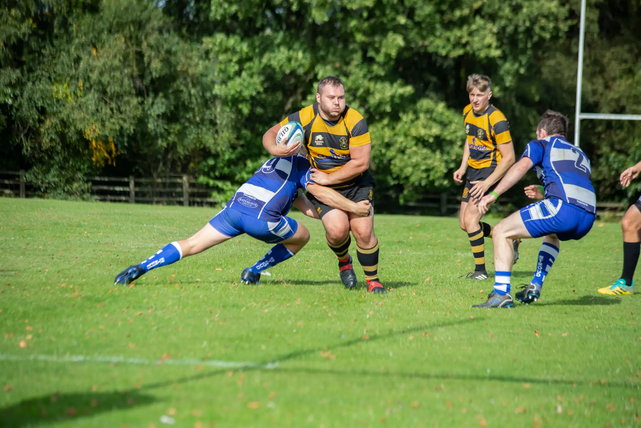 Berry Hill Rugby Club