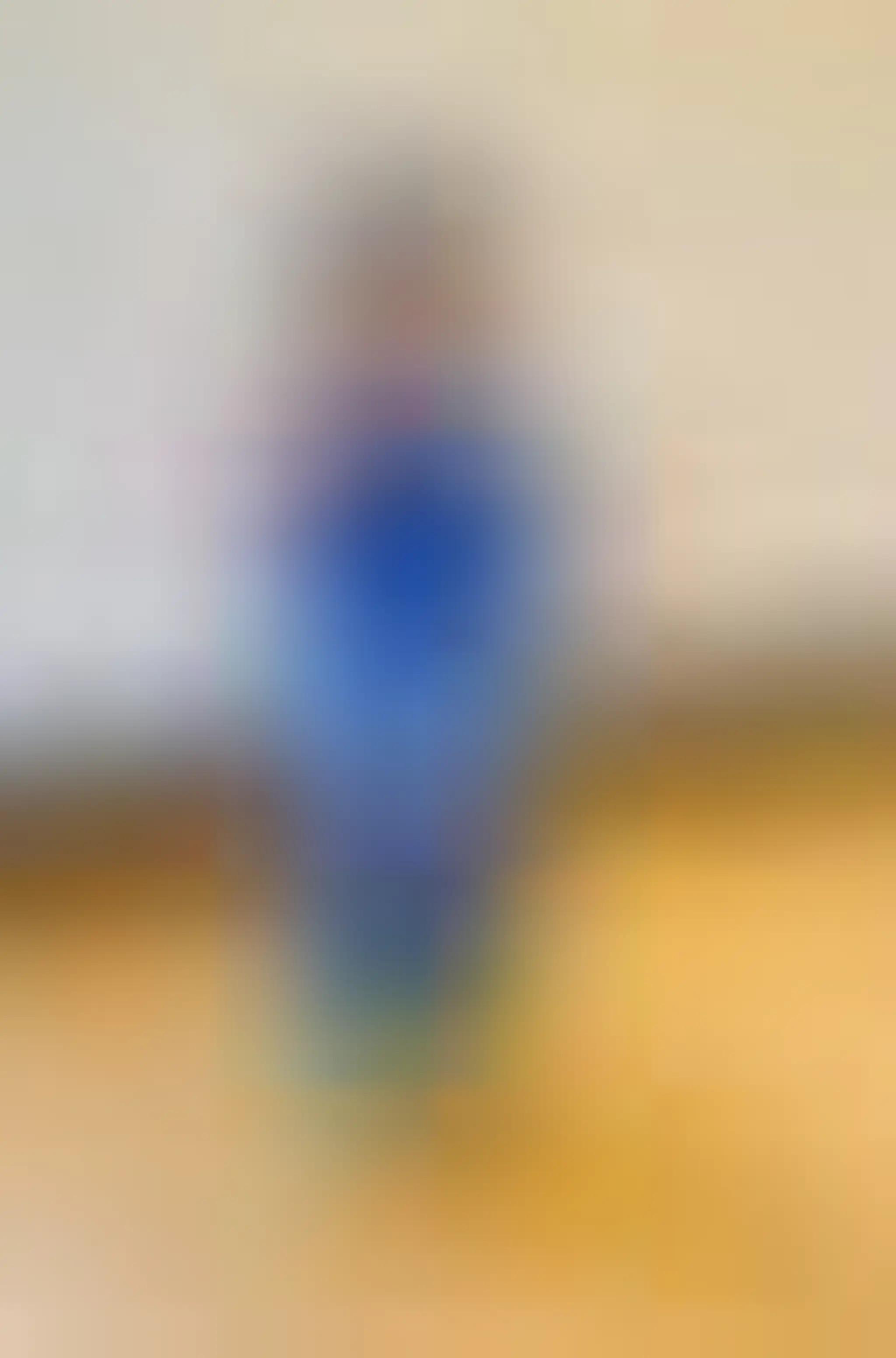 Sydney Lions Soccer Academy