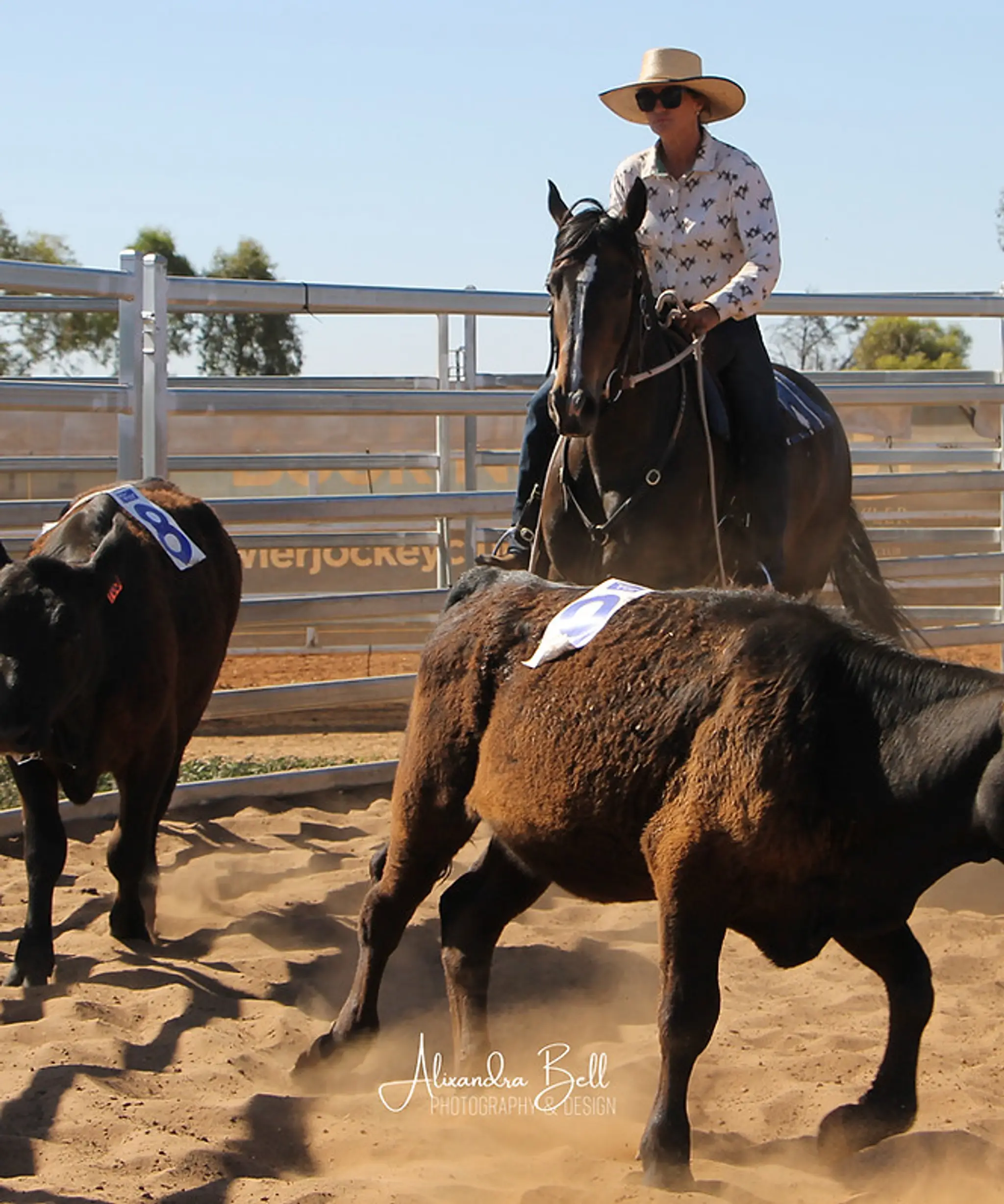 Ranch Sorting South Australia