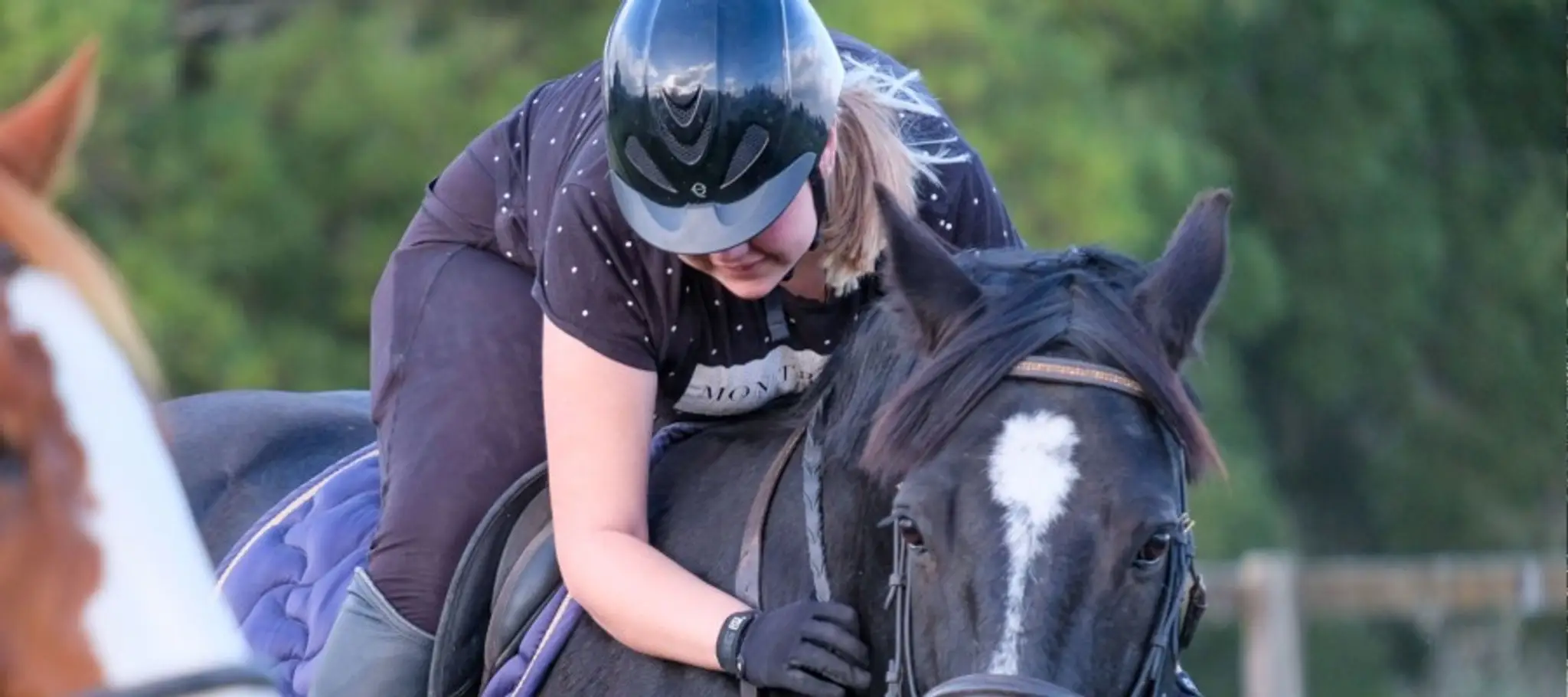Waikato Equestrian Centre