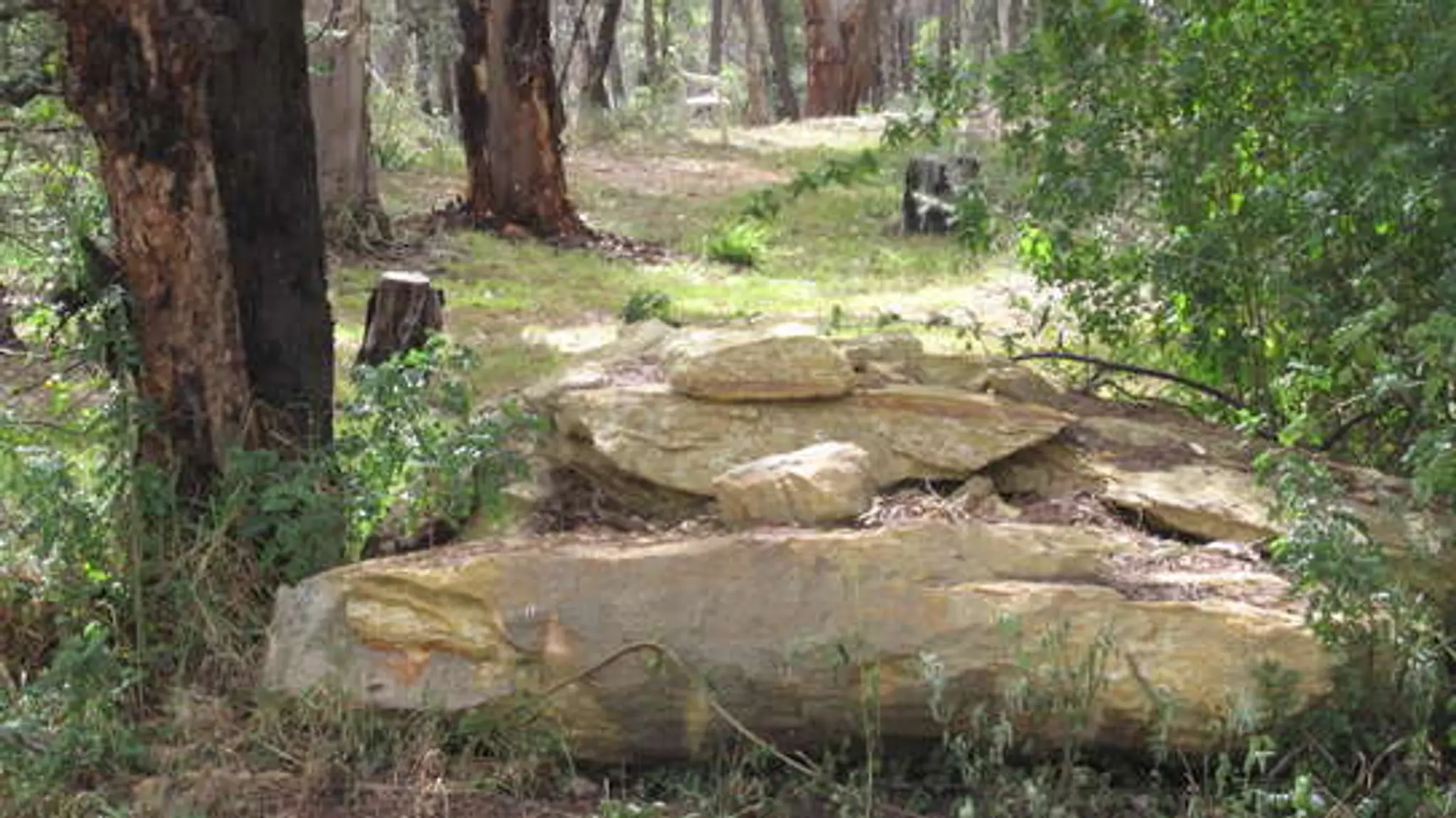 Sydney Buddhist Centre