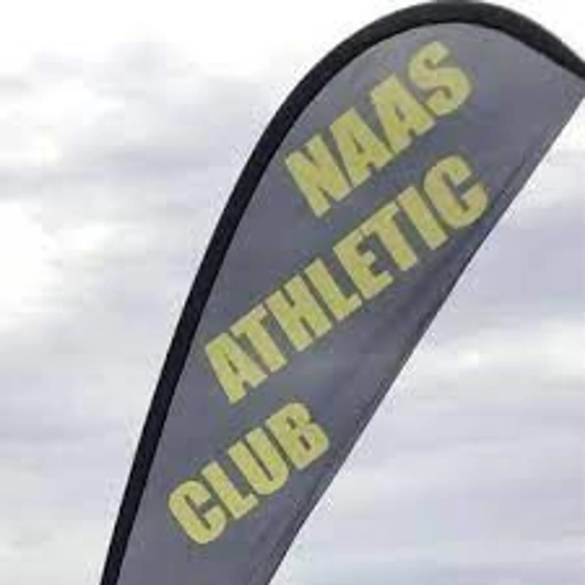 Naas AC
