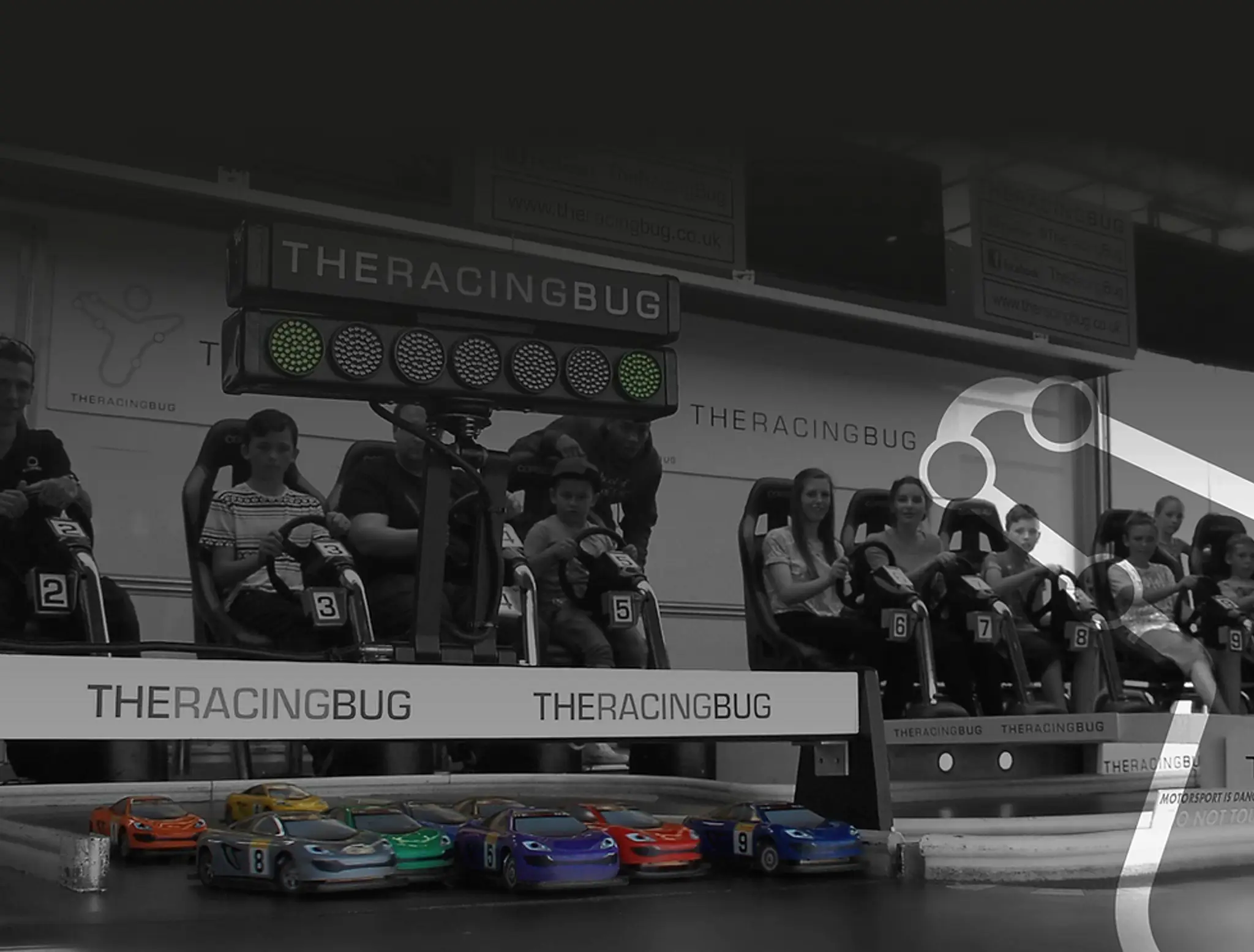 The Racing Bug Ltd