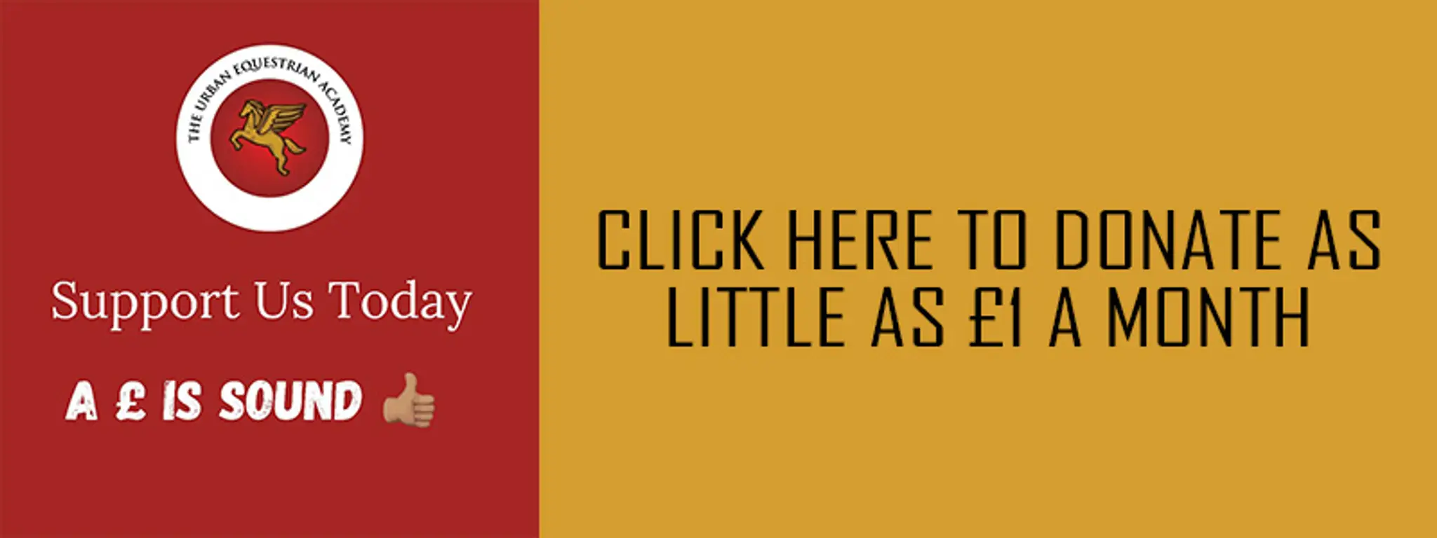 The Urban Equestrian Academy Ltd.