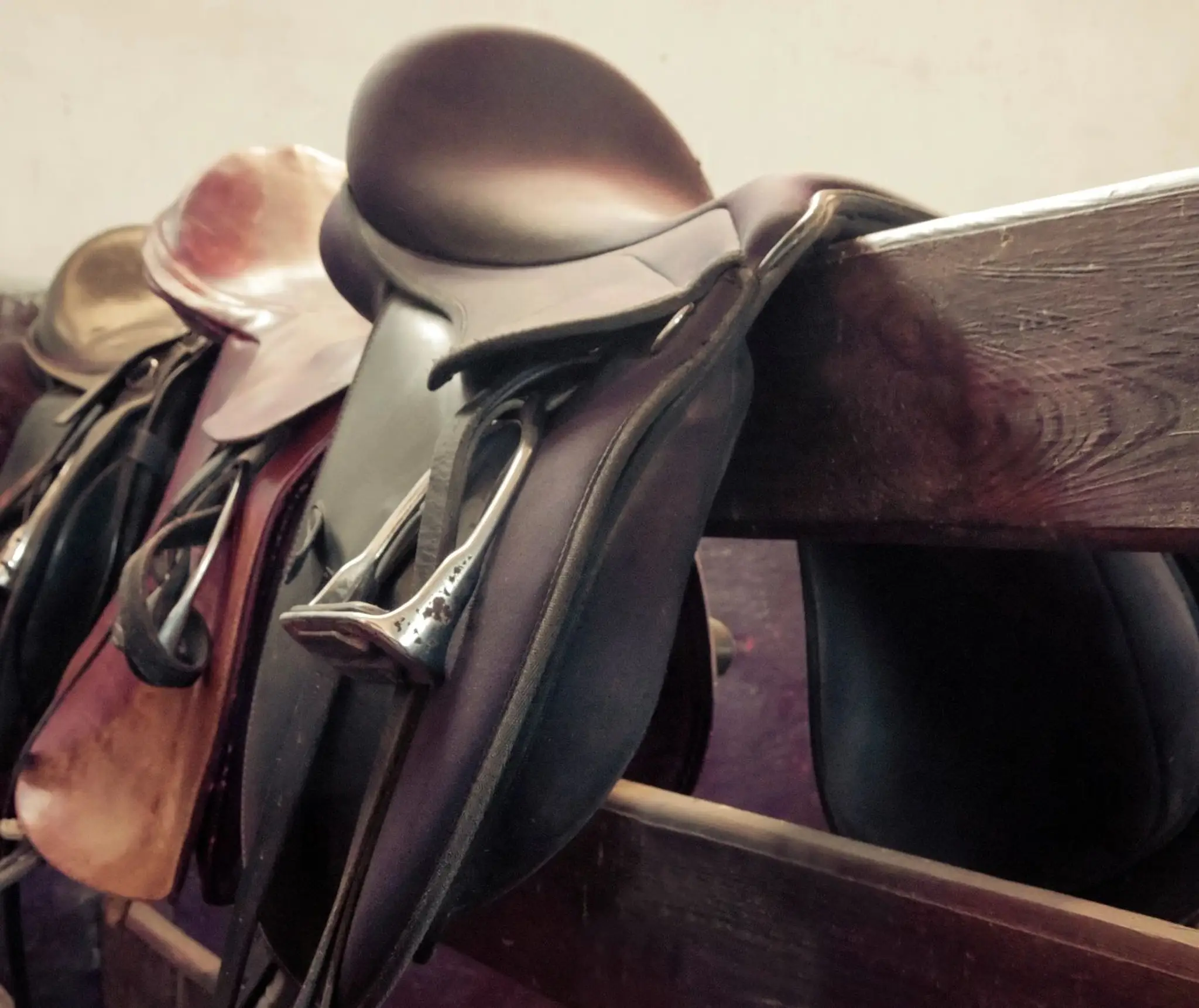 Manor Stables & CR Sport Horses