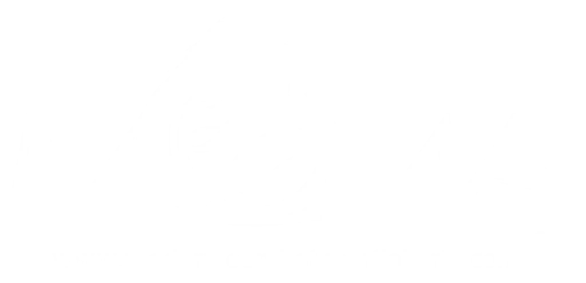 MCMA - Modern Combat Martial Arts