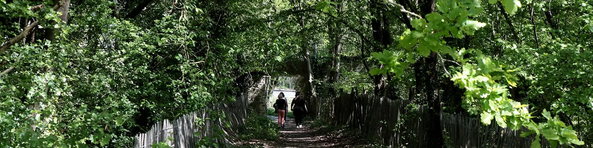 Accès au Gymnase de la Courrouze (Parking)