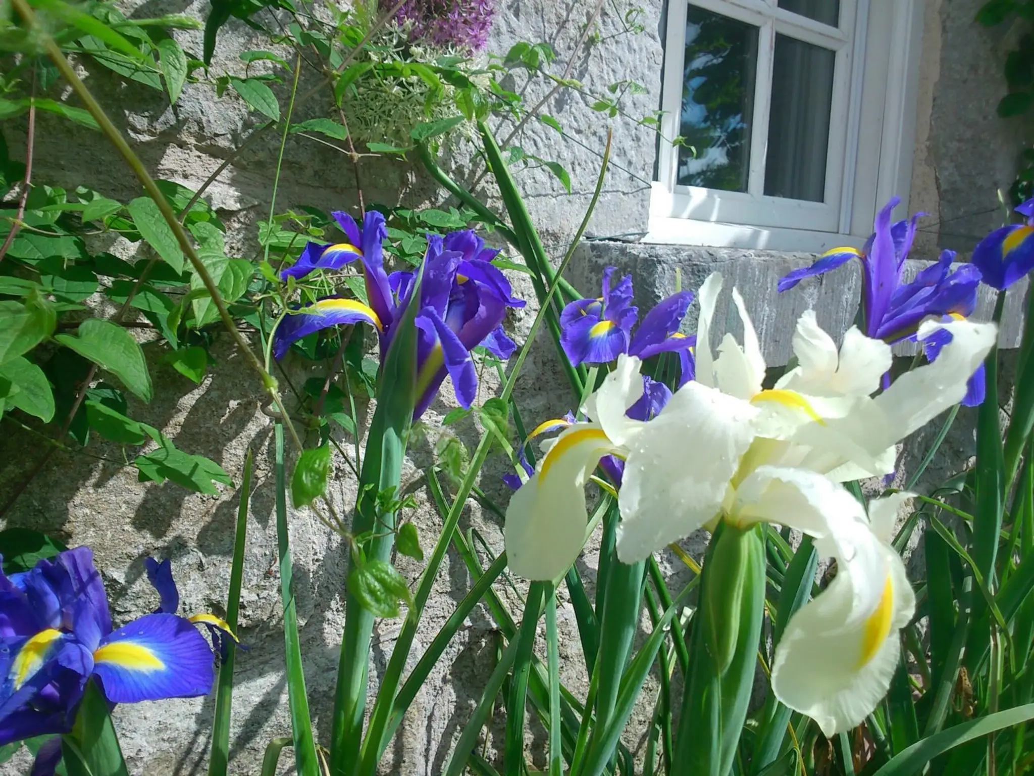 The Old Rectory Country House
