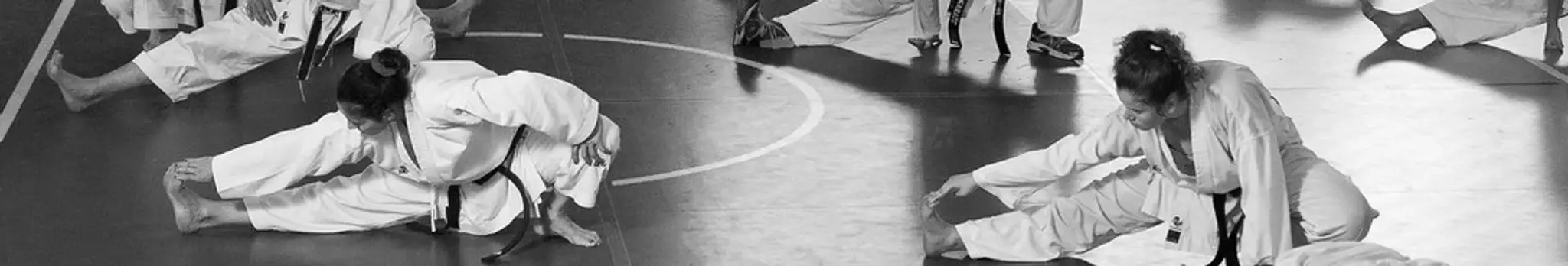 Gymnase Jean-Louis Forain