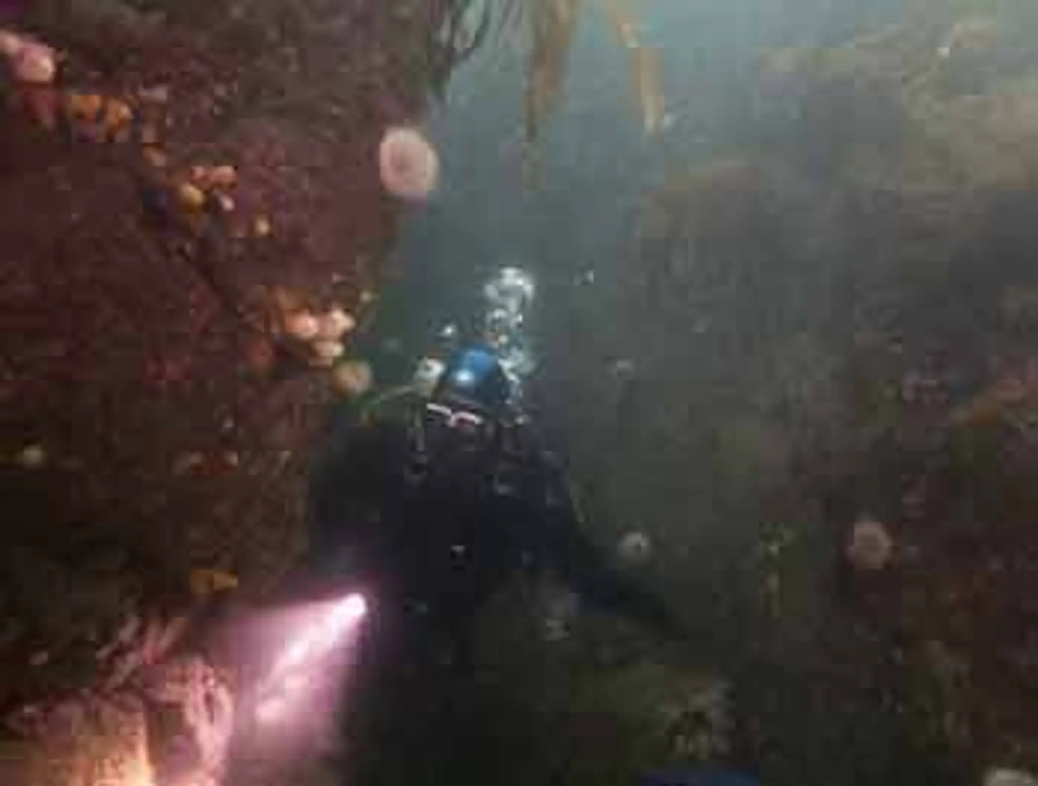 Rosehearty Dive Place