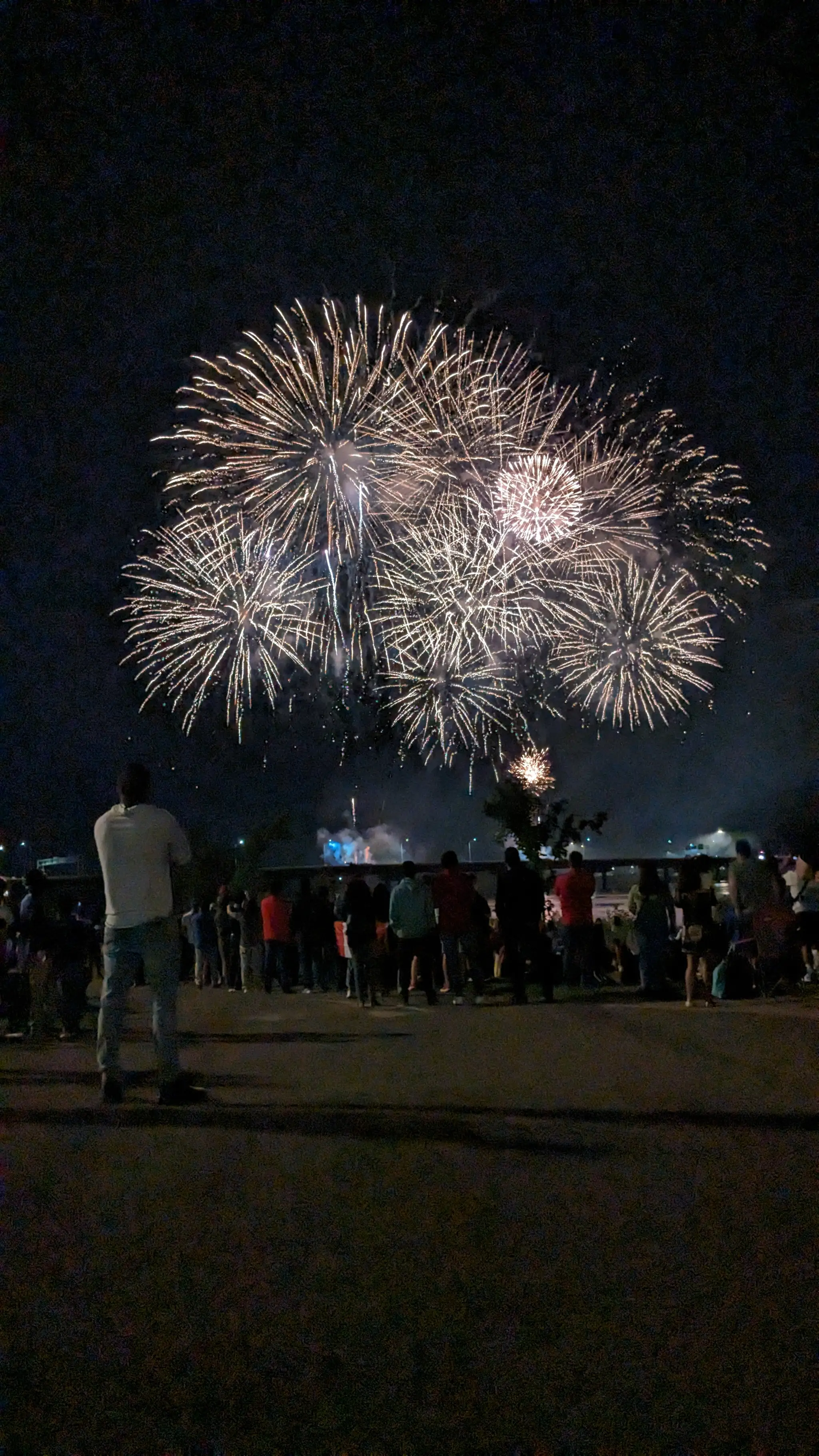 Fiddlehead Bridge Studio