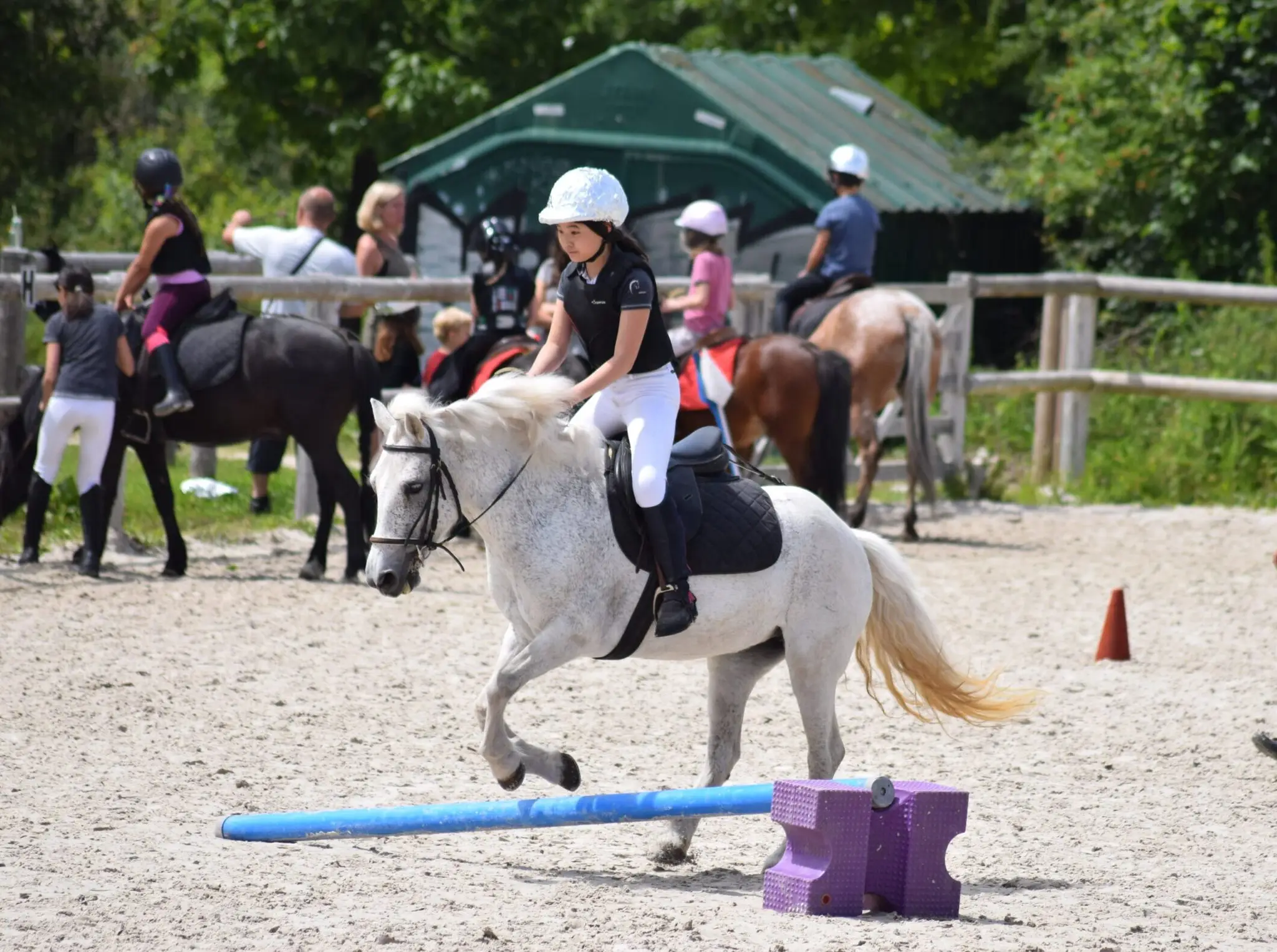 Cercle Hippique Du Bois De Vincennes - School Riding / Pas De Balade