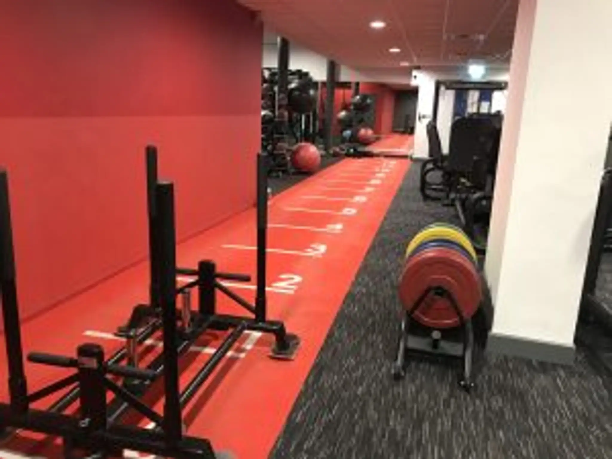 Luke Randall Fitness