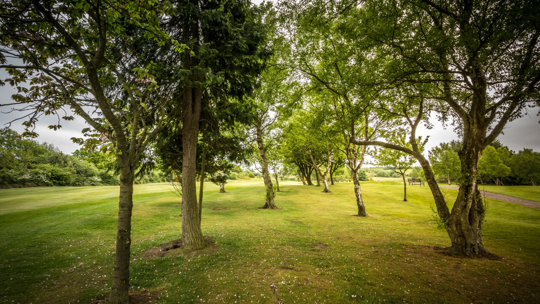 South Moor Golf Club