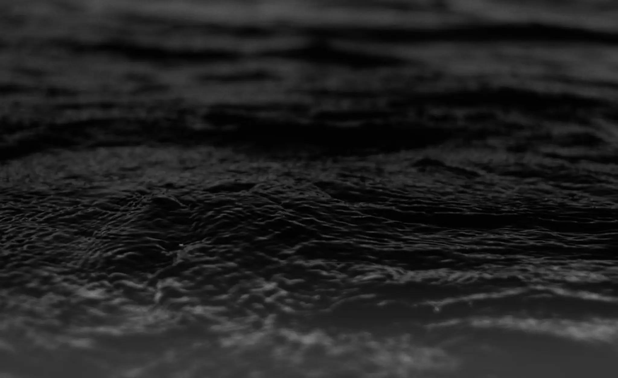 Cėdrick Plasseau Moniteur Guide de Pêche Fishing Aventure