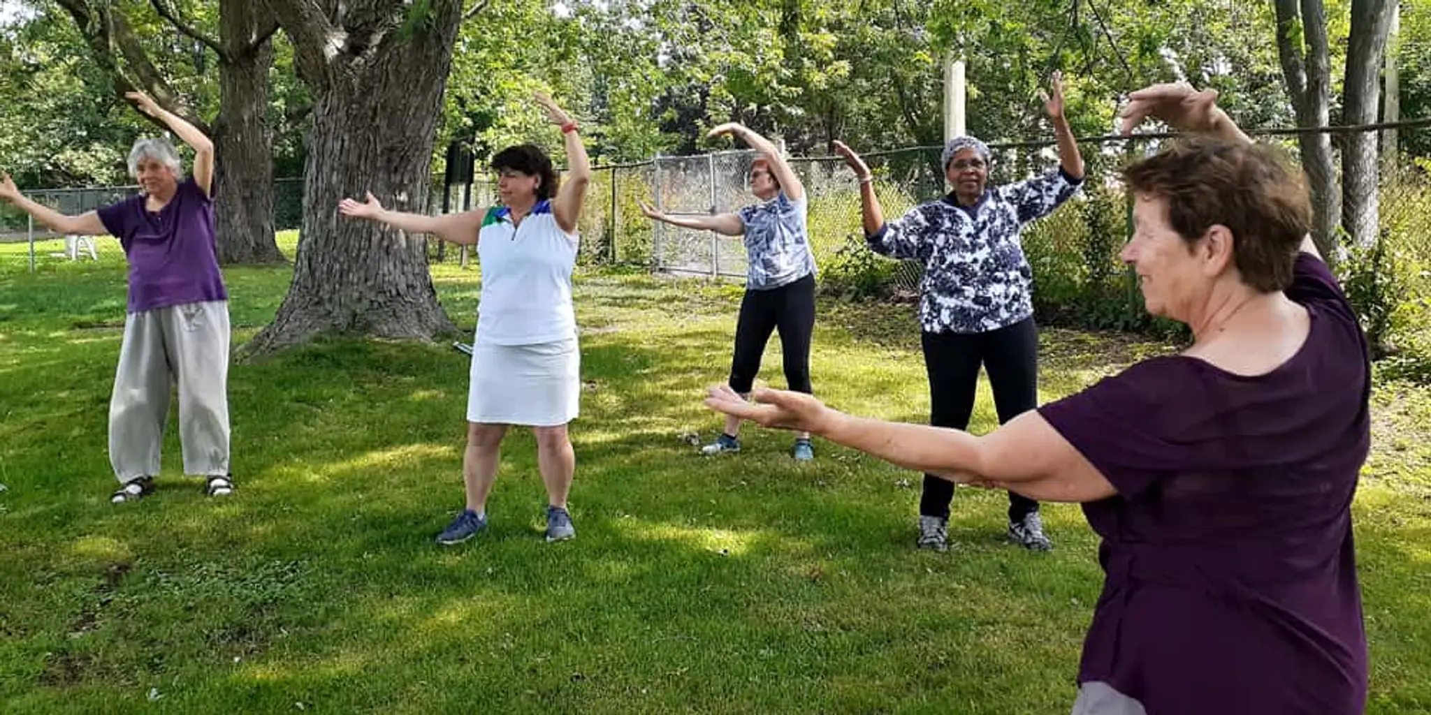 Taichi Qigong by Sandra Mitchell
