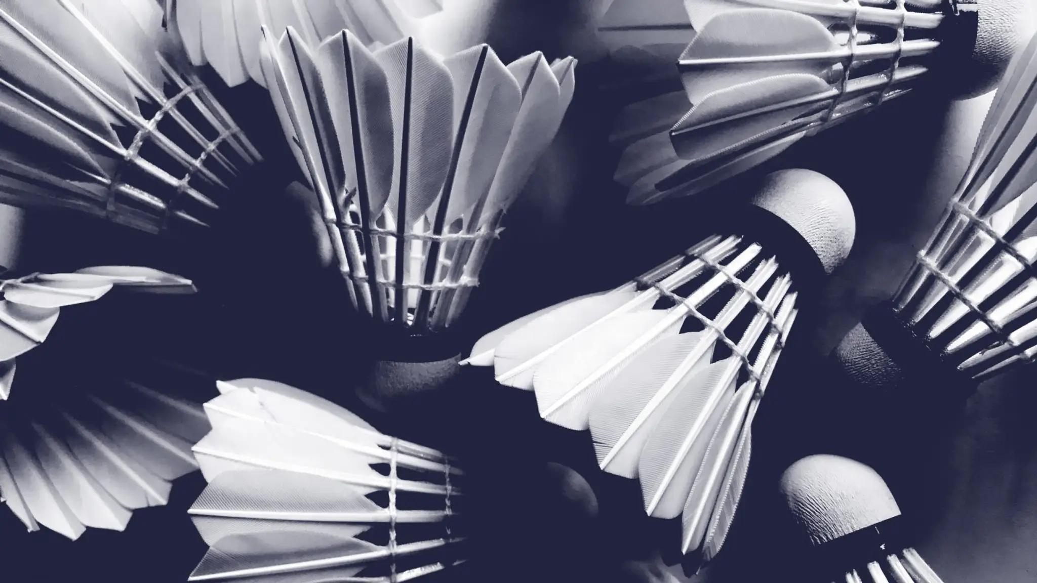 Chislehurst Badminton Club