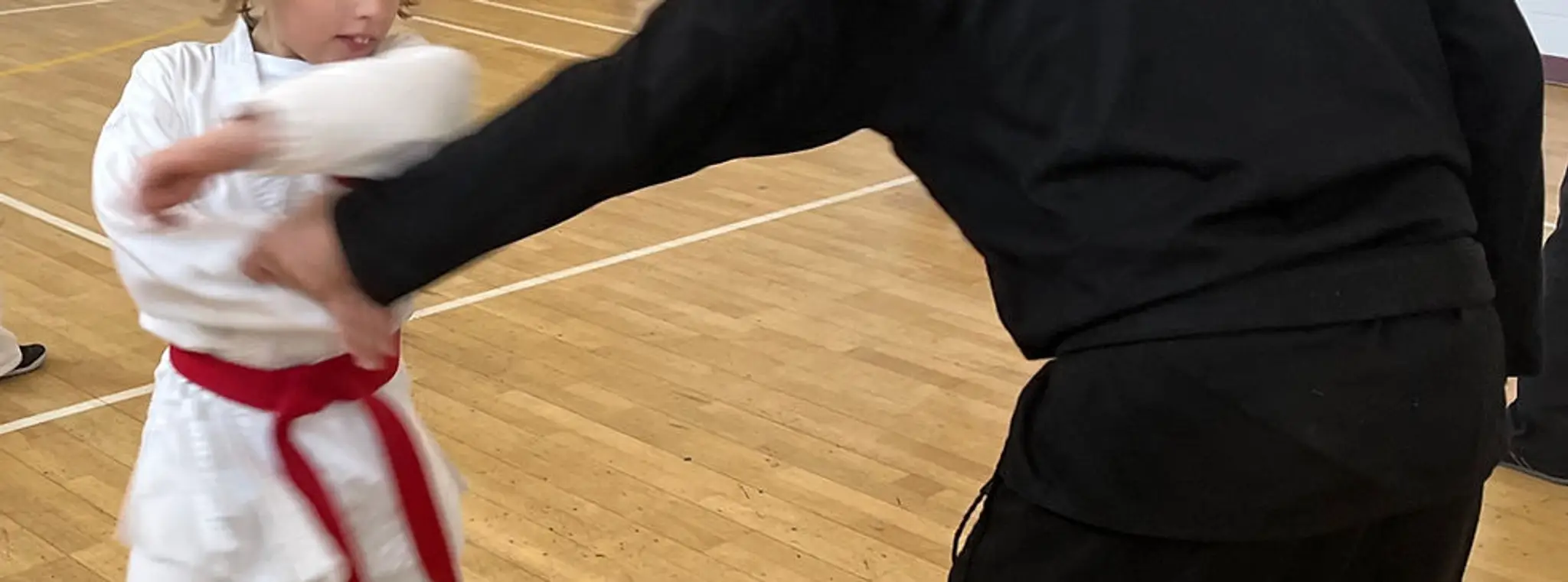 Doushikai Martial Arts