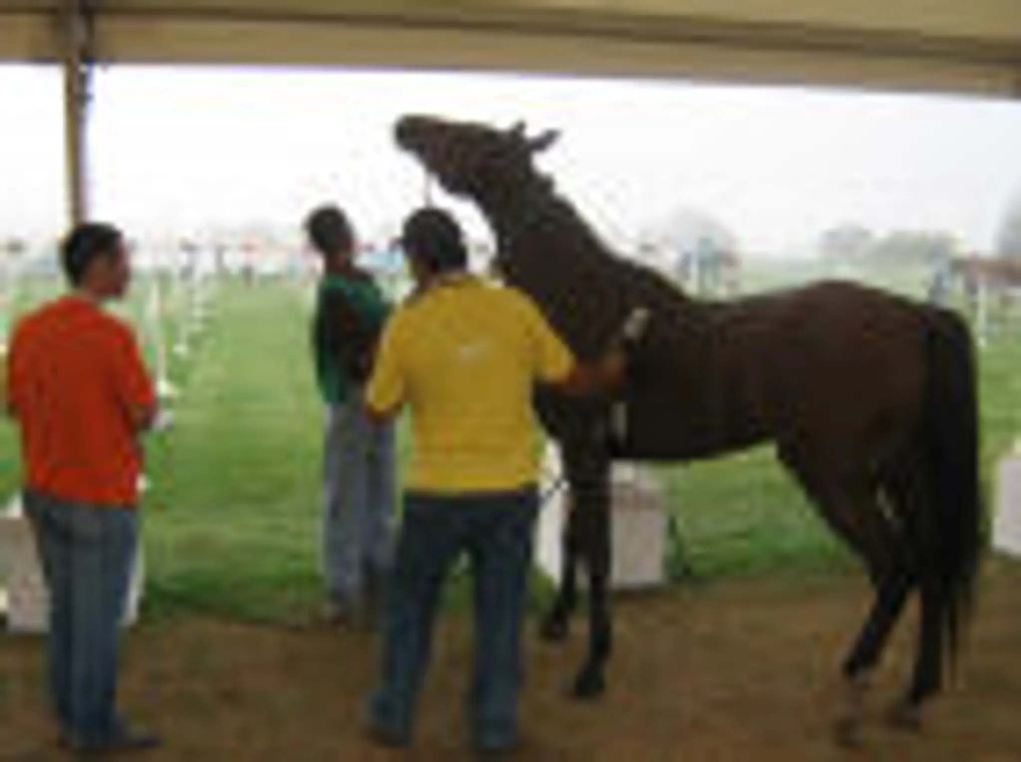 Raddery Diskmark Ltd