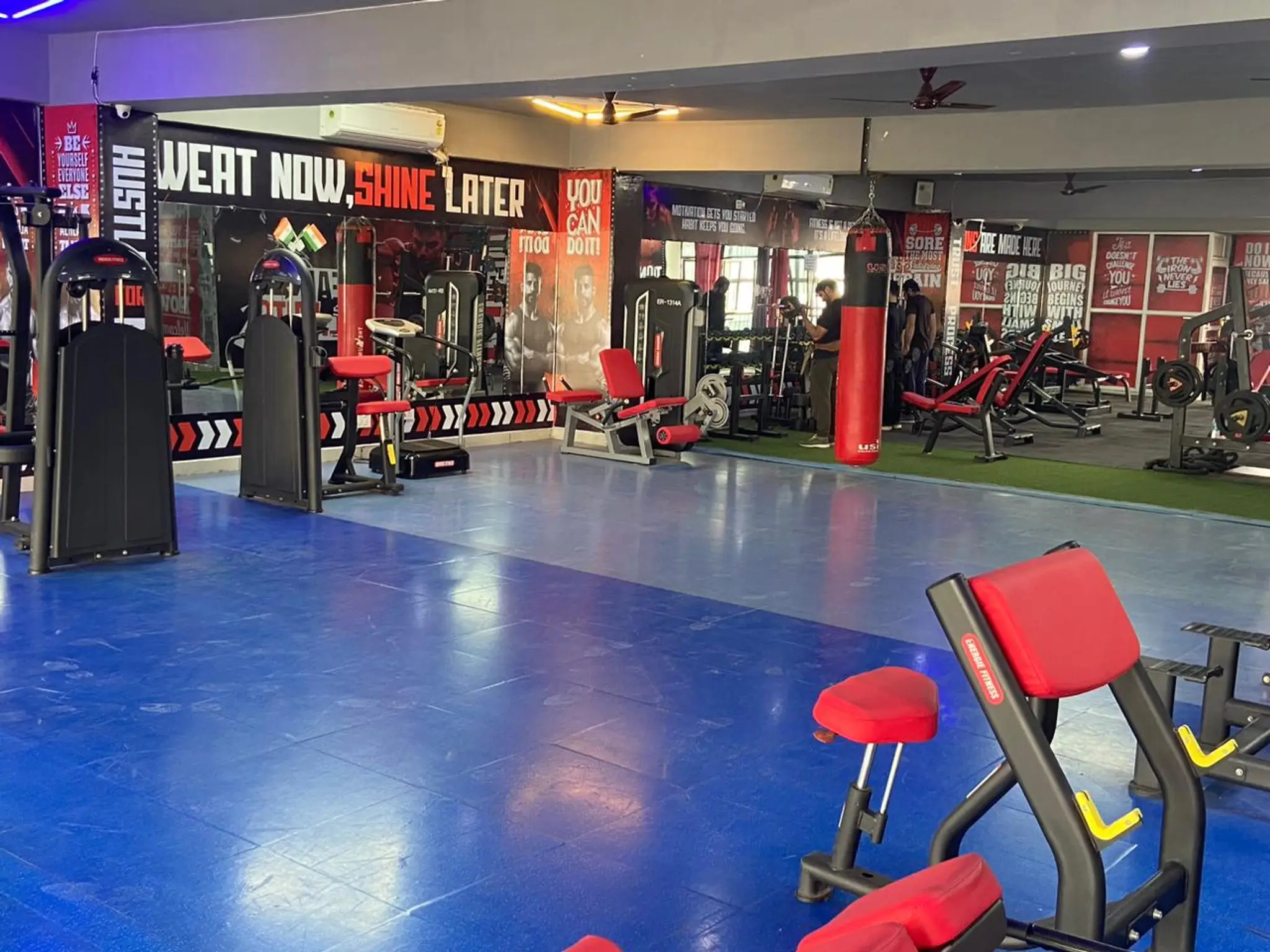 WTF Exclusive Gym : Alpha Fitness Gym