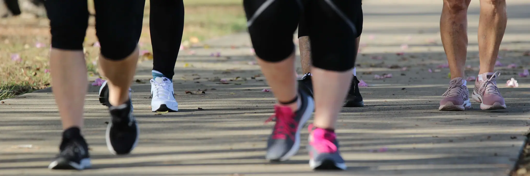 Women Who Walk and men too