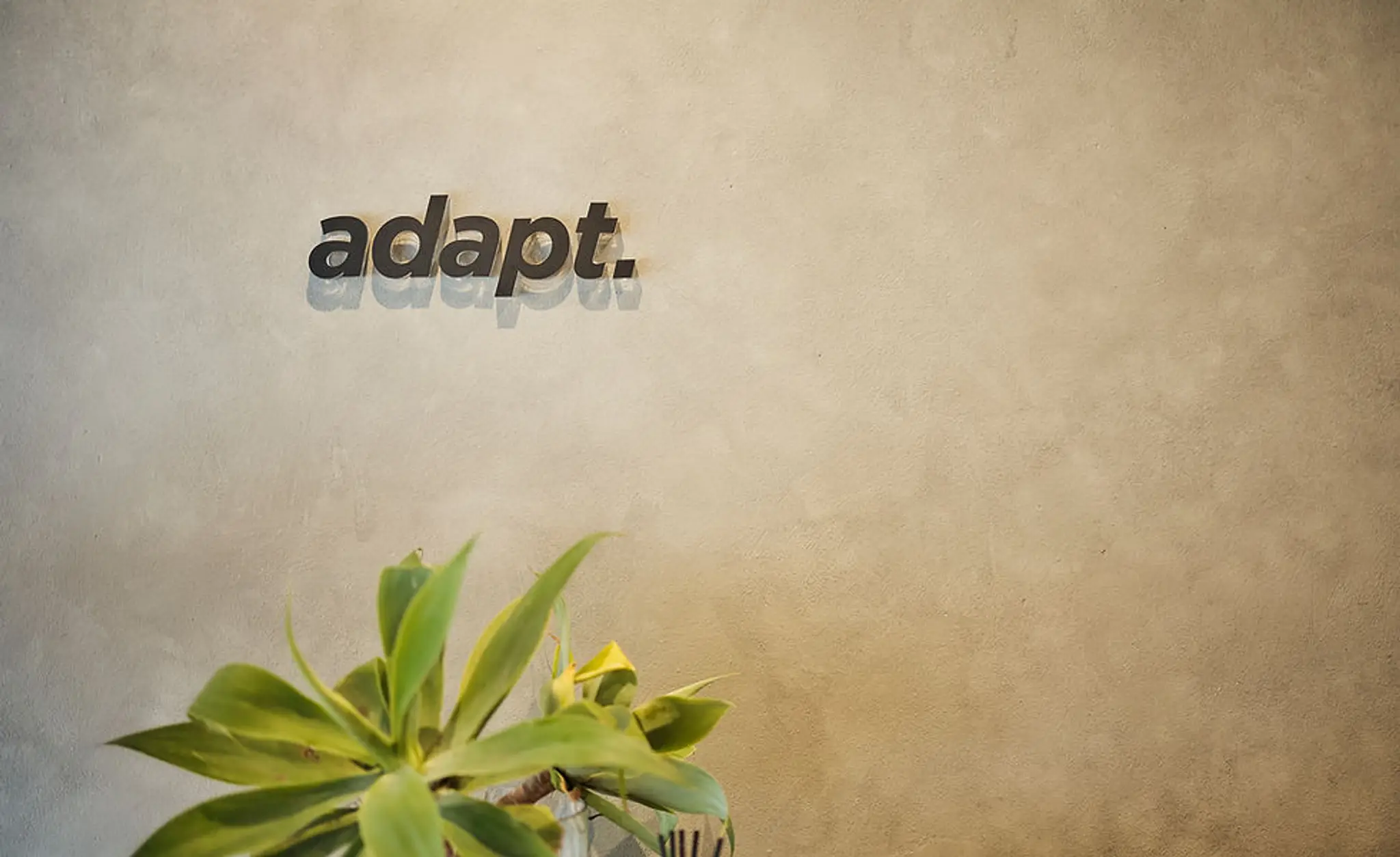 Adapt Health and Performance