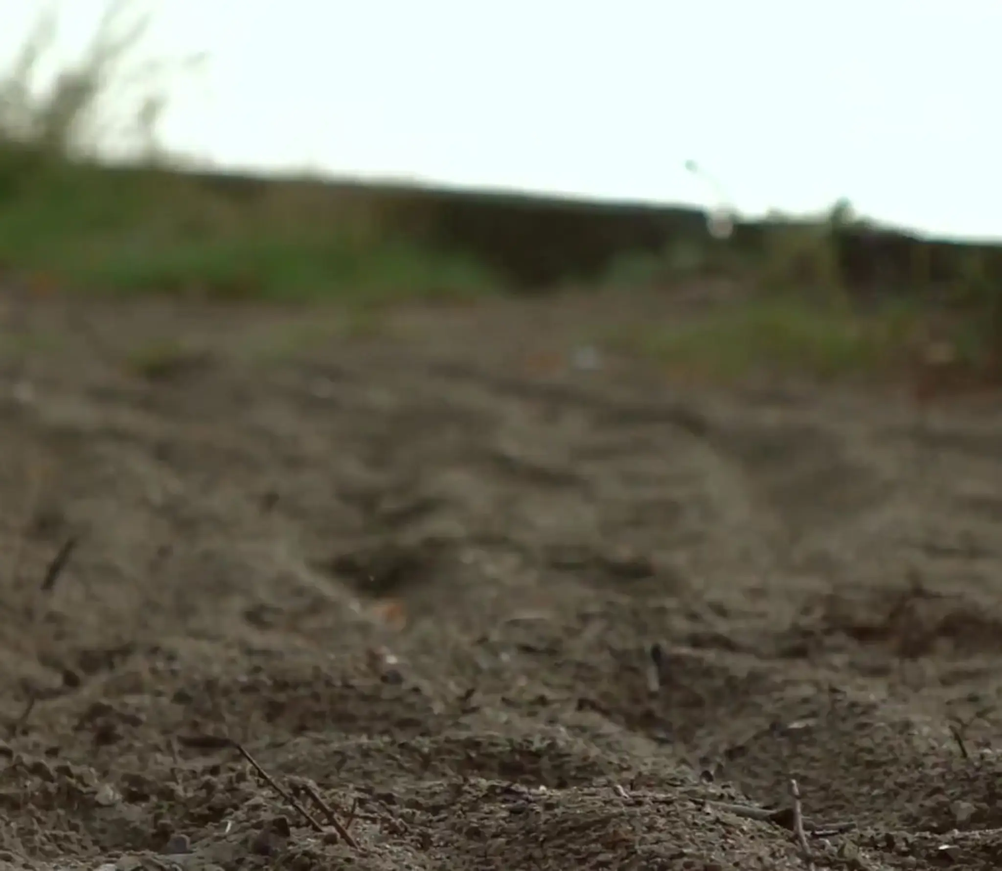 Recharge Sports Therapy