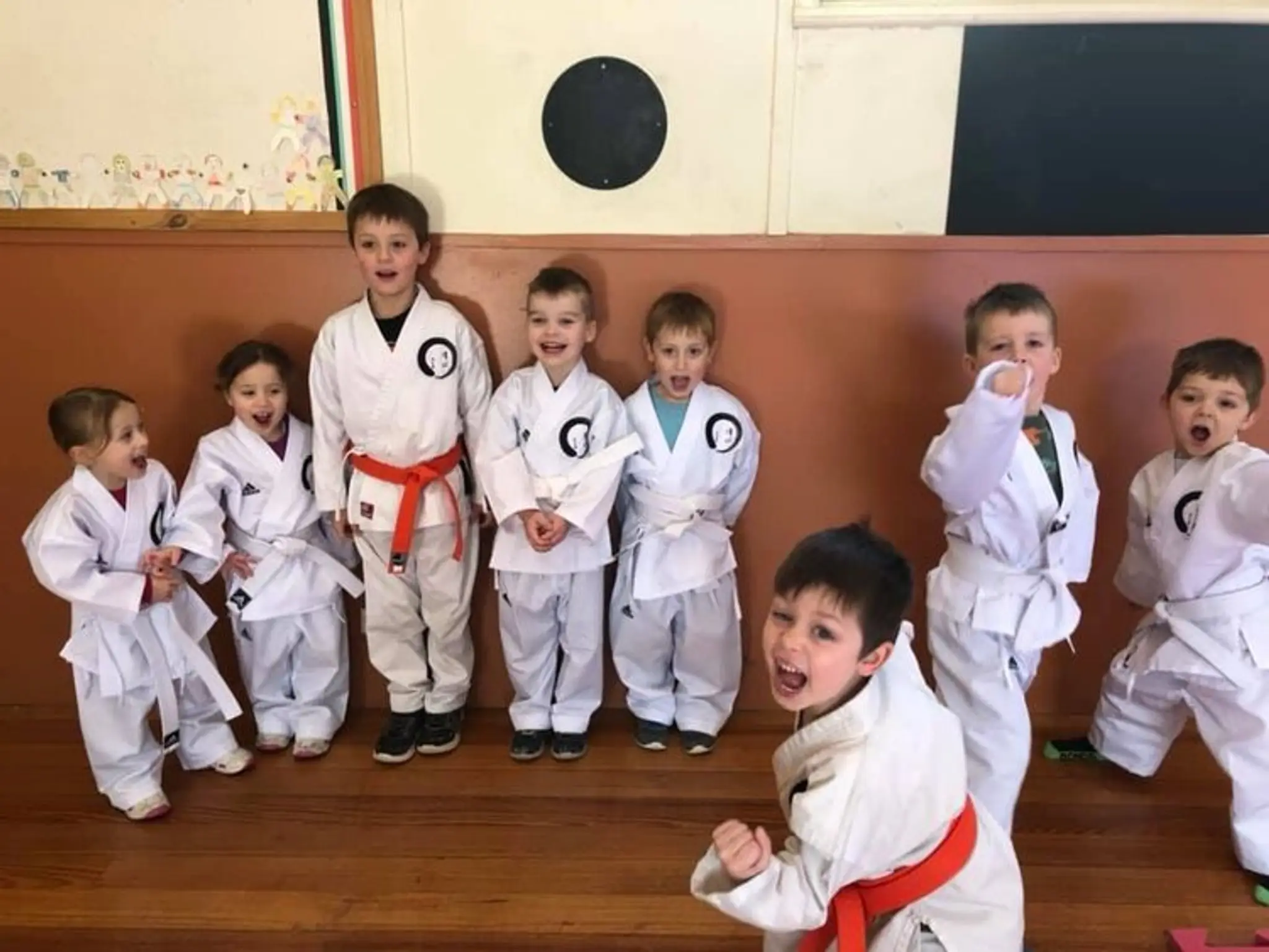 Kiyoshin Karate Association