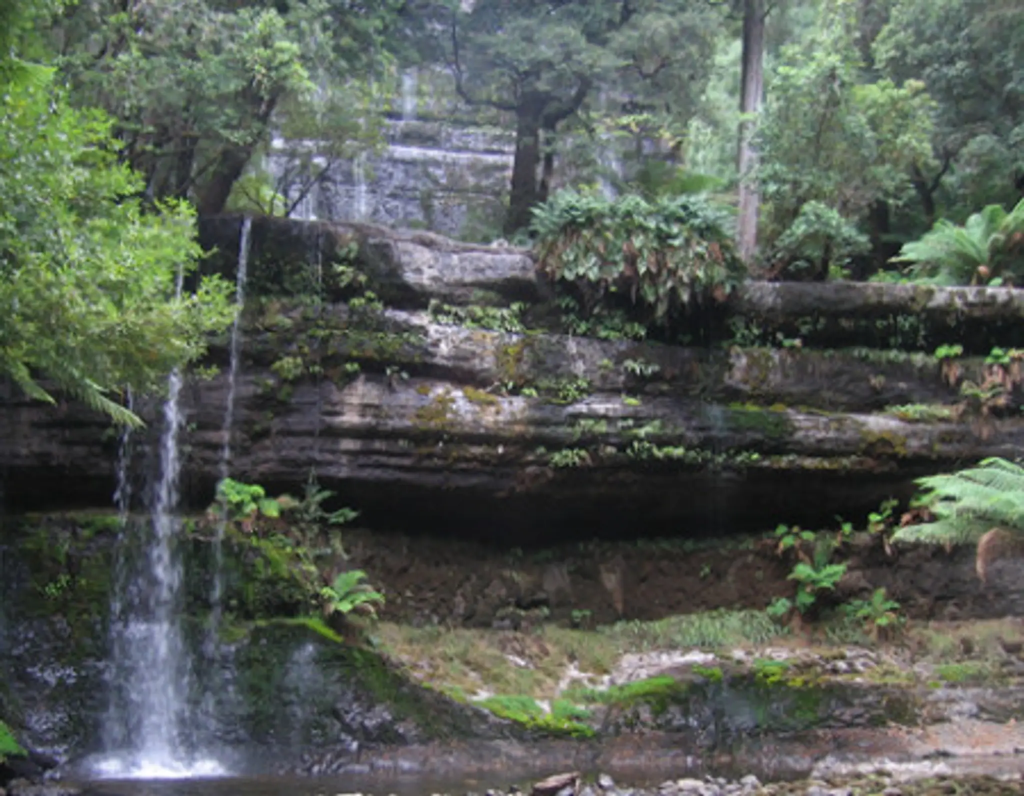 Shraddha Yoga Centre - Yoga & Meditation