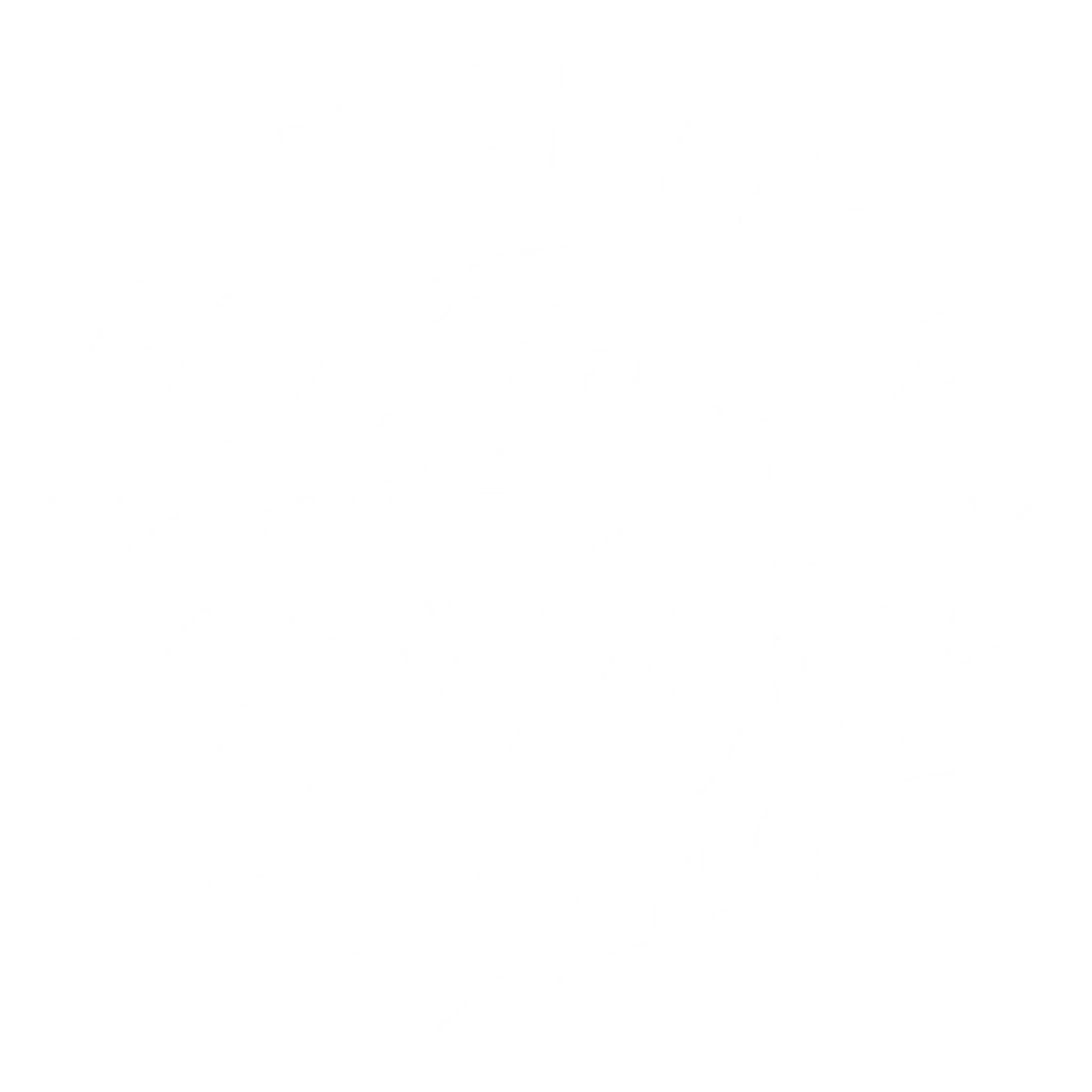 Elan De Lyon