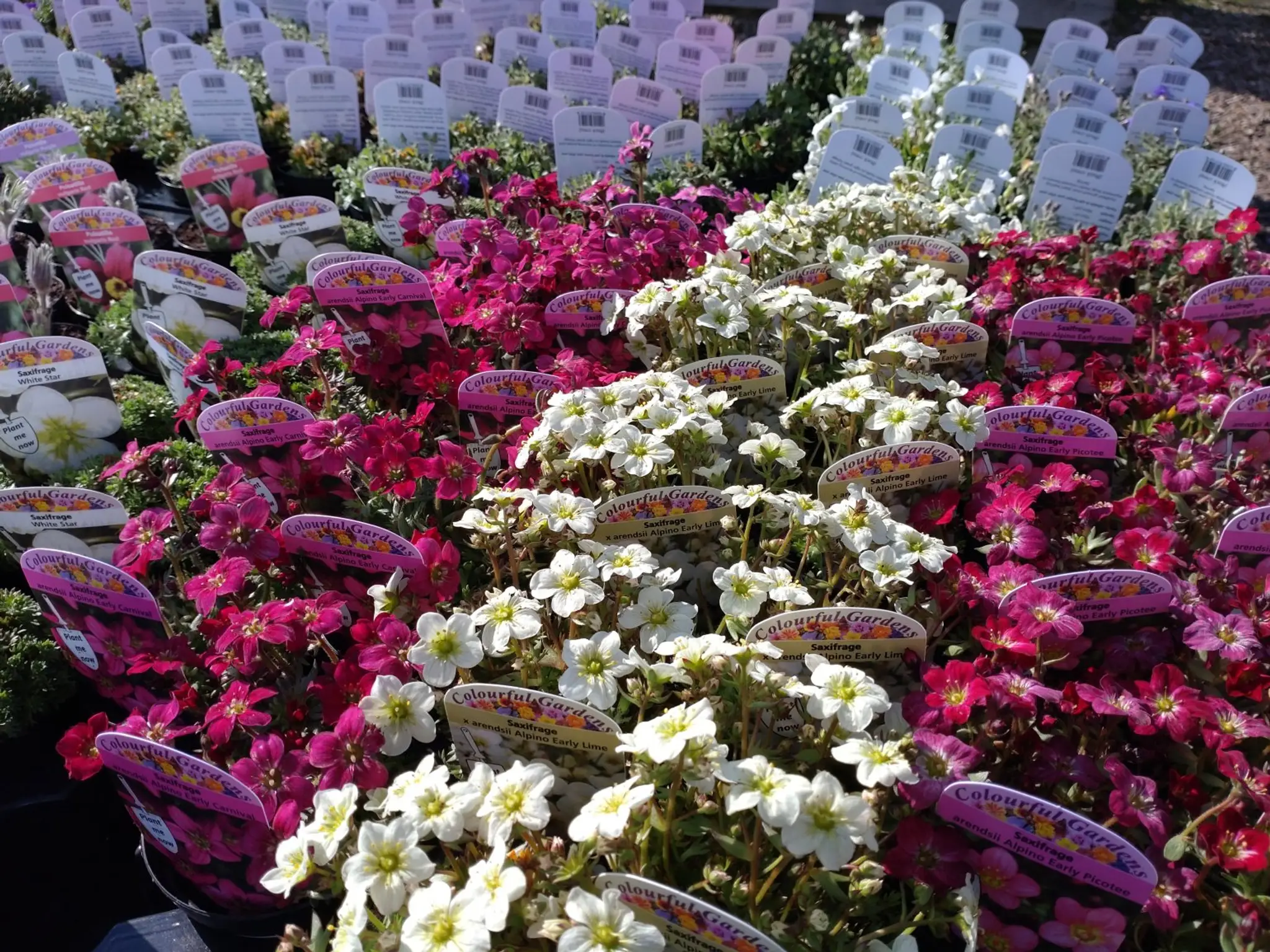 Willowbrook Nursery and Garden Centre