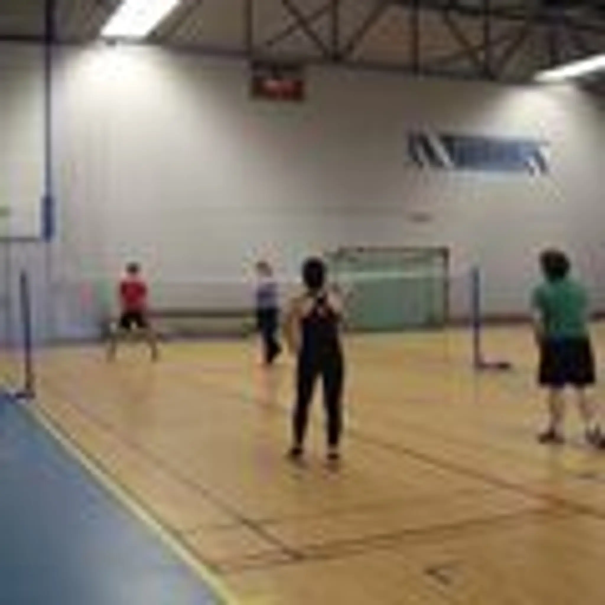 NEC Badminton