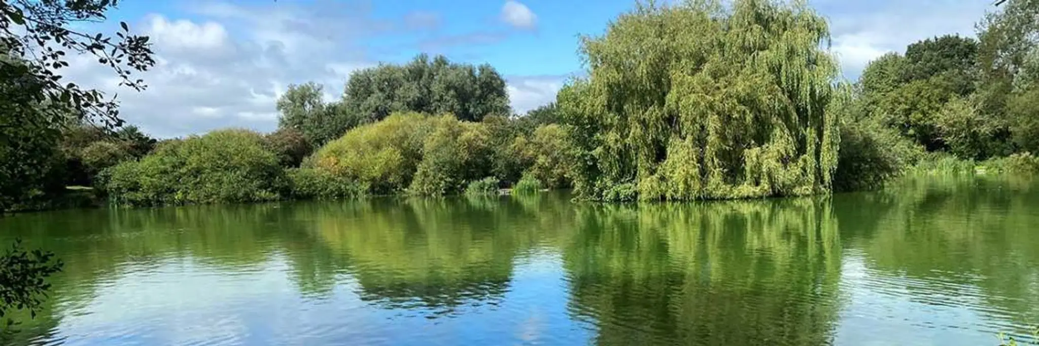 Bellows Mill Fishery (Verulam Angling Club)