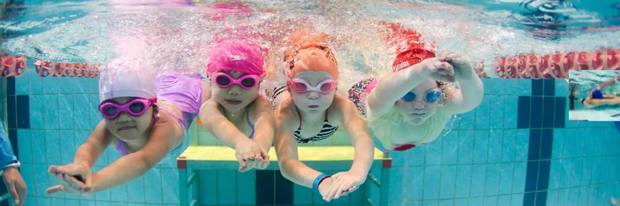 Big Blue Swimming - Warringah Aquatic Centre