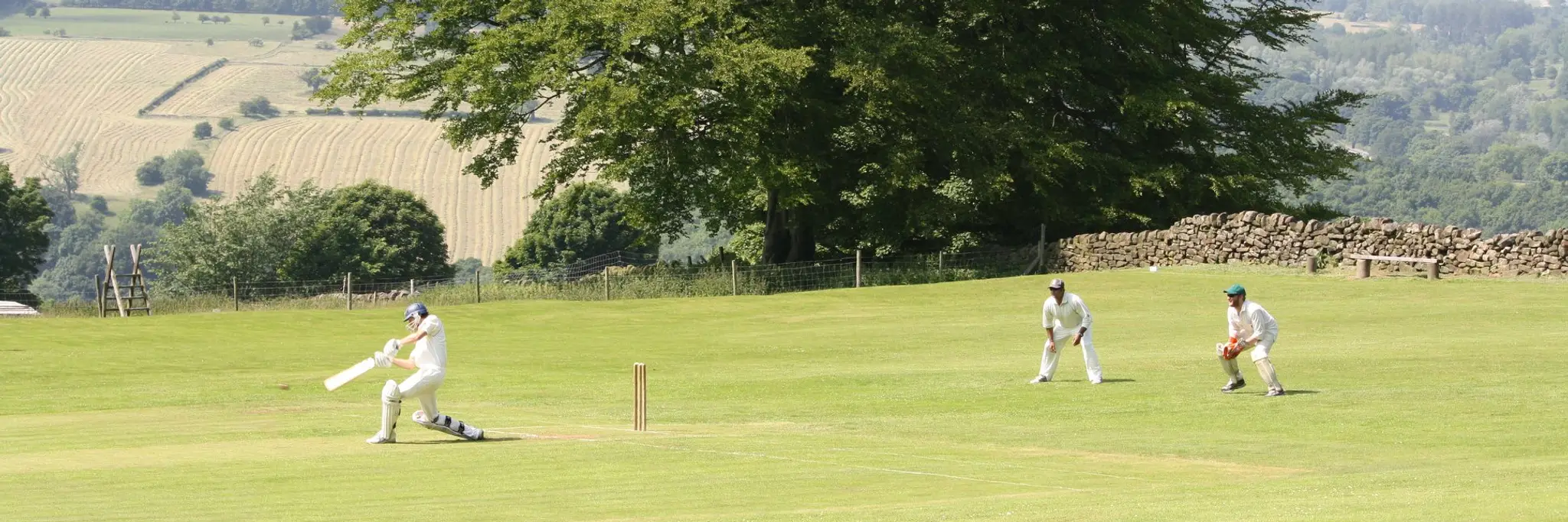 Collaroy Plateau Cricket Club