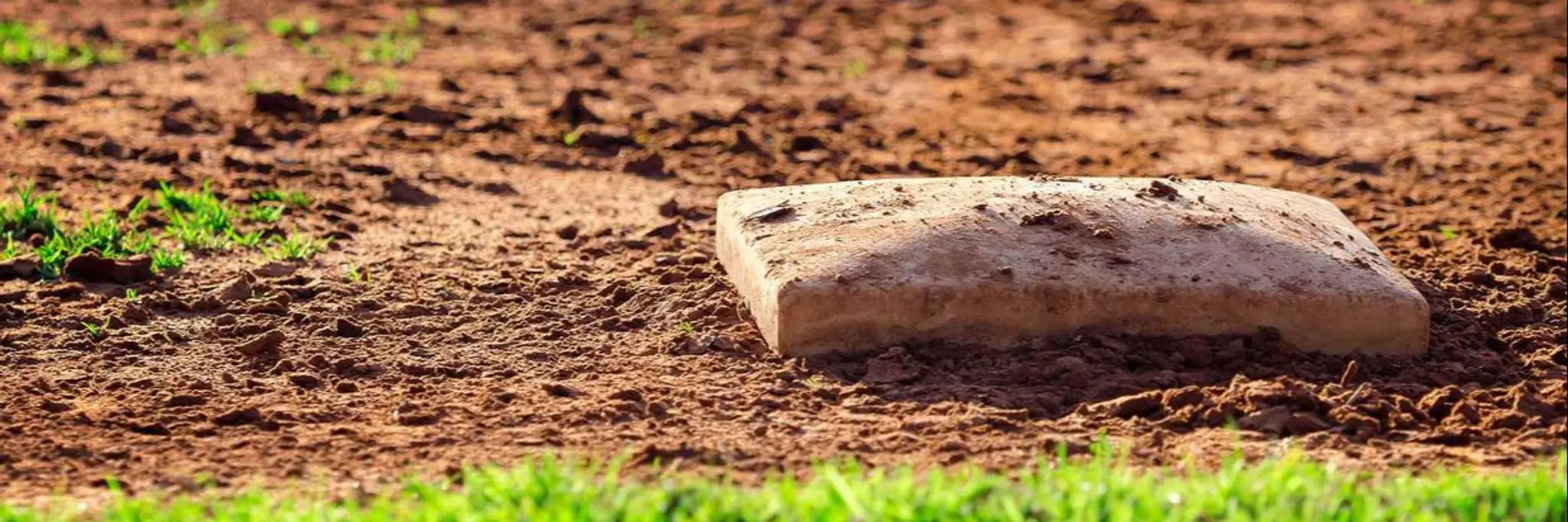 Forest Baseball Club