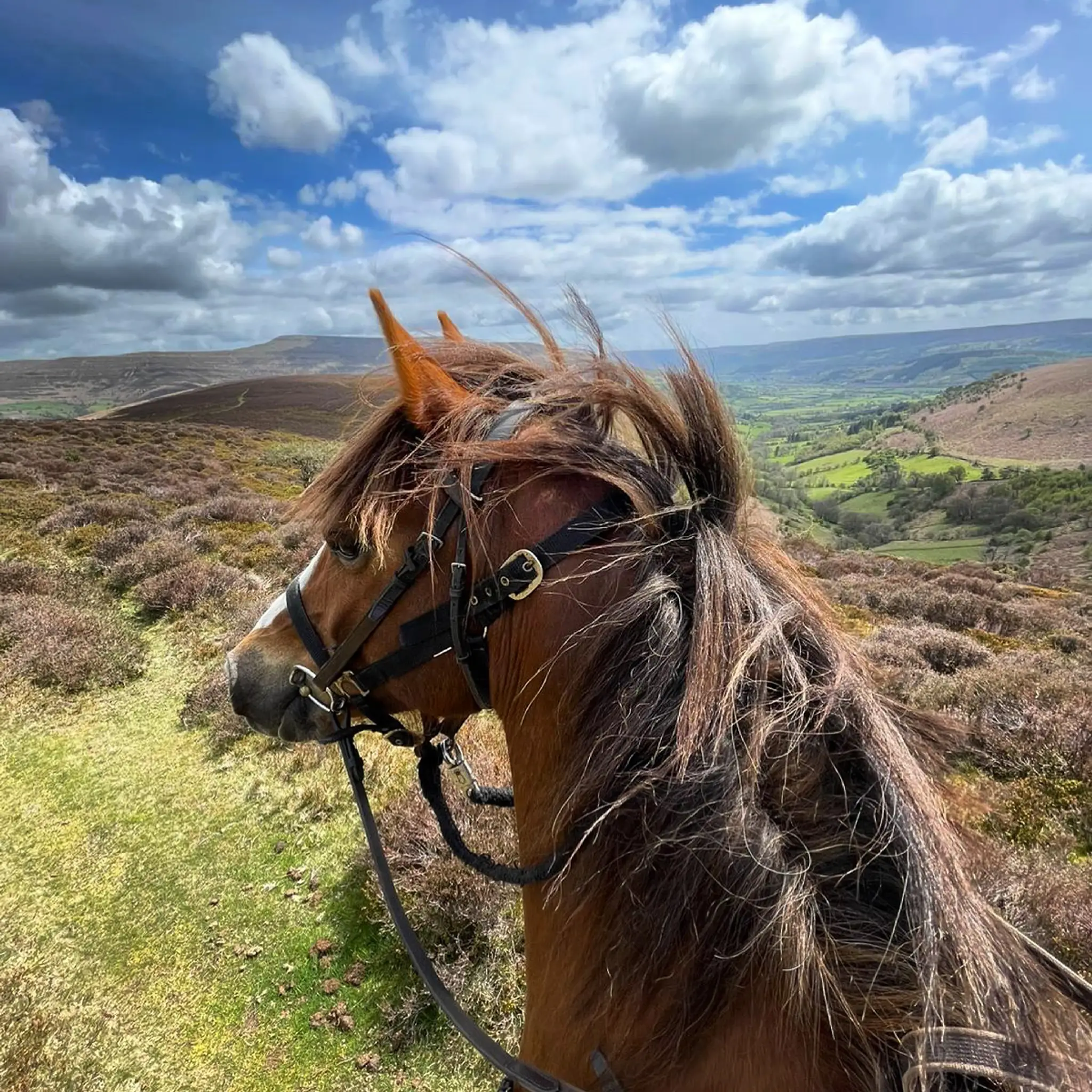 Trans Wales Trails Horse Riding