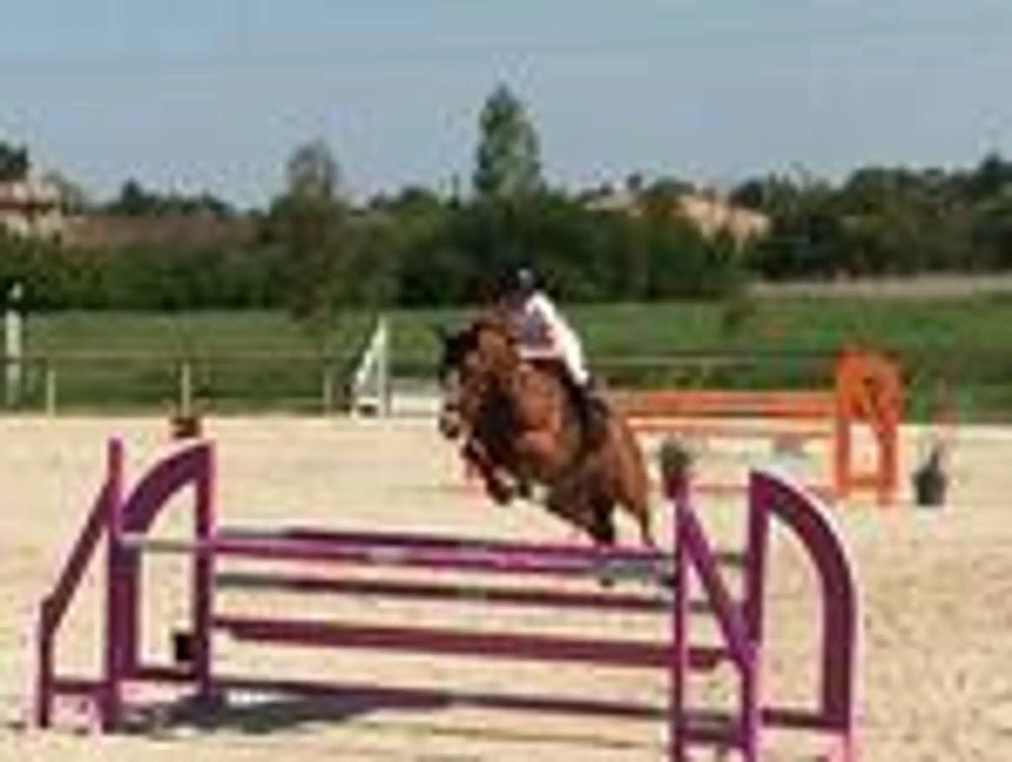 ECURIES DE LAVALETTE