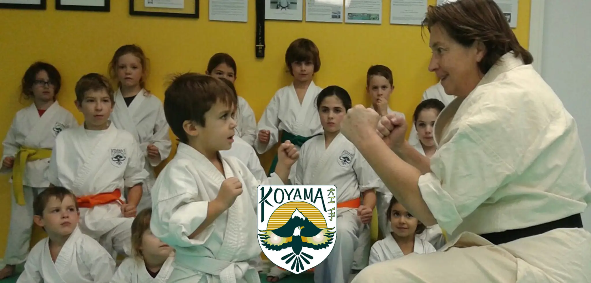 Centre De Karate J Patenaude