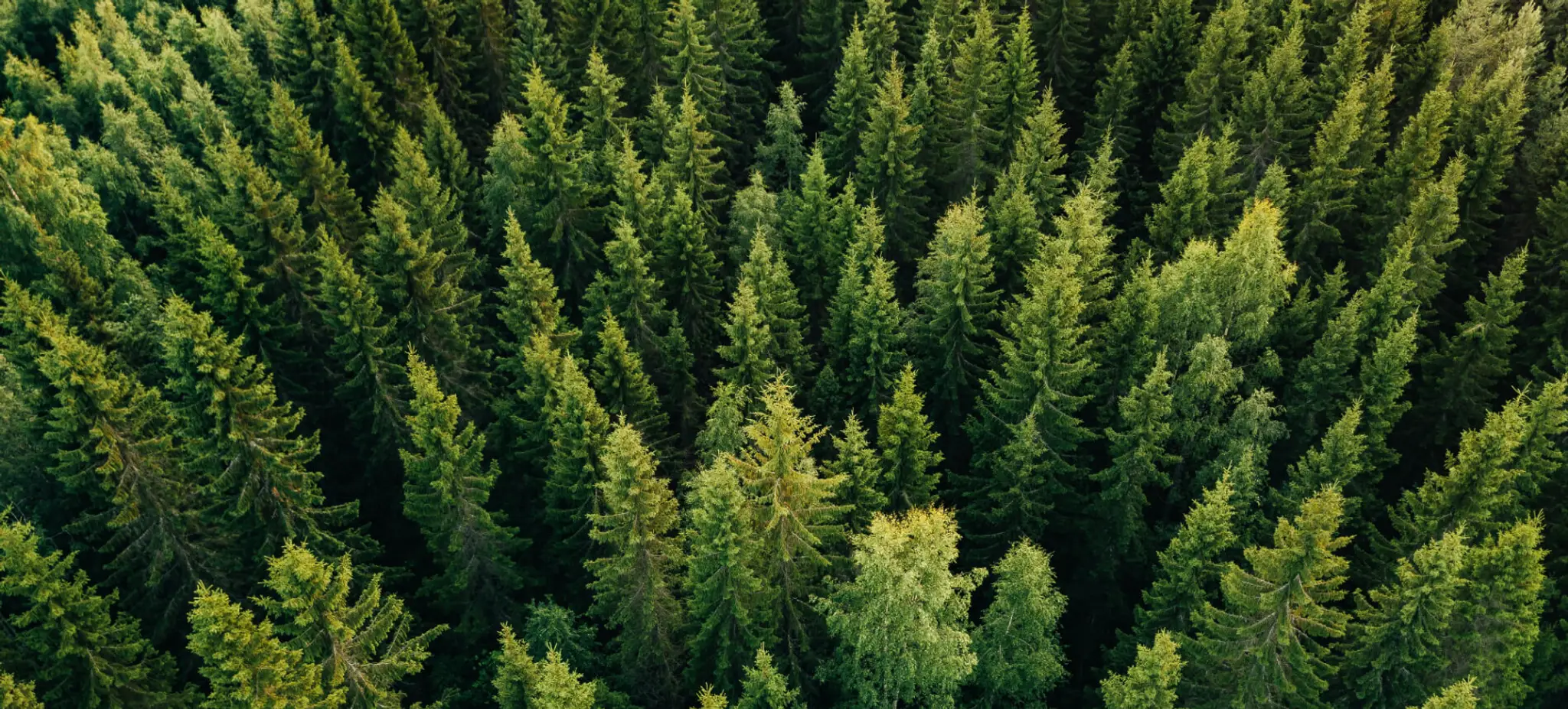 Community Recreation & Cultural Centre