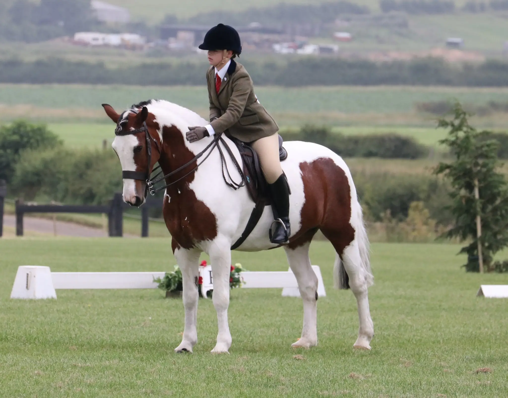 The Showing Register (TSR)