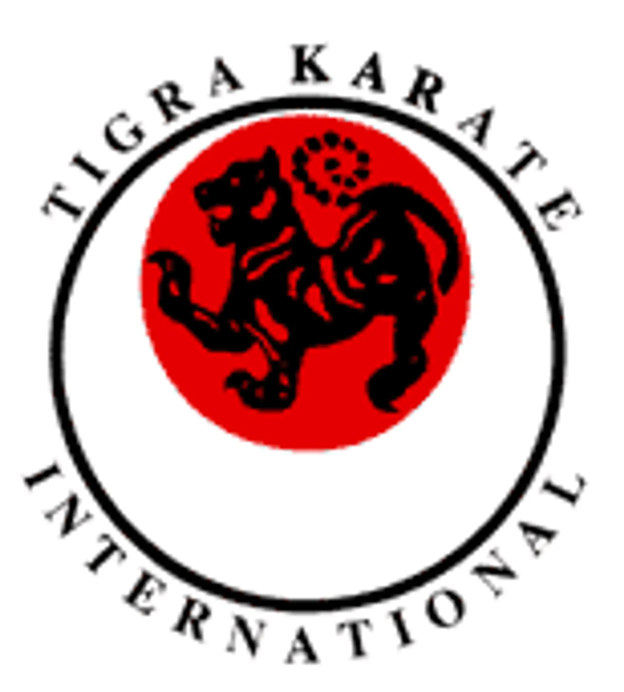 Knights Karate Club